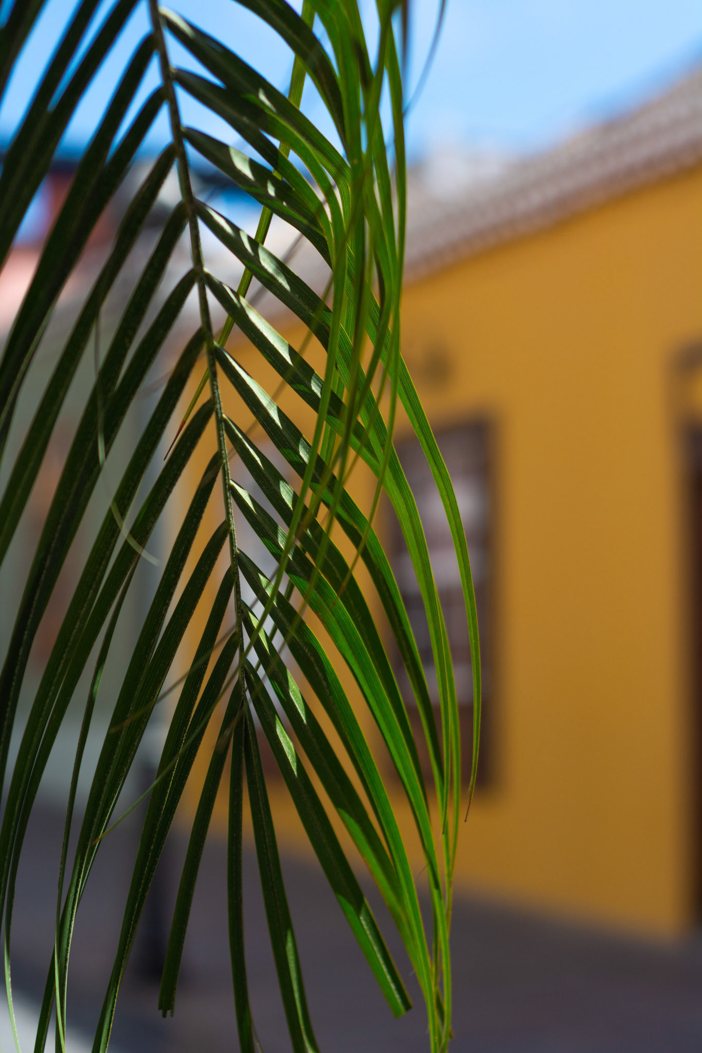 Narrow perspectives V. La Palma, Canary Islands. February 2020.