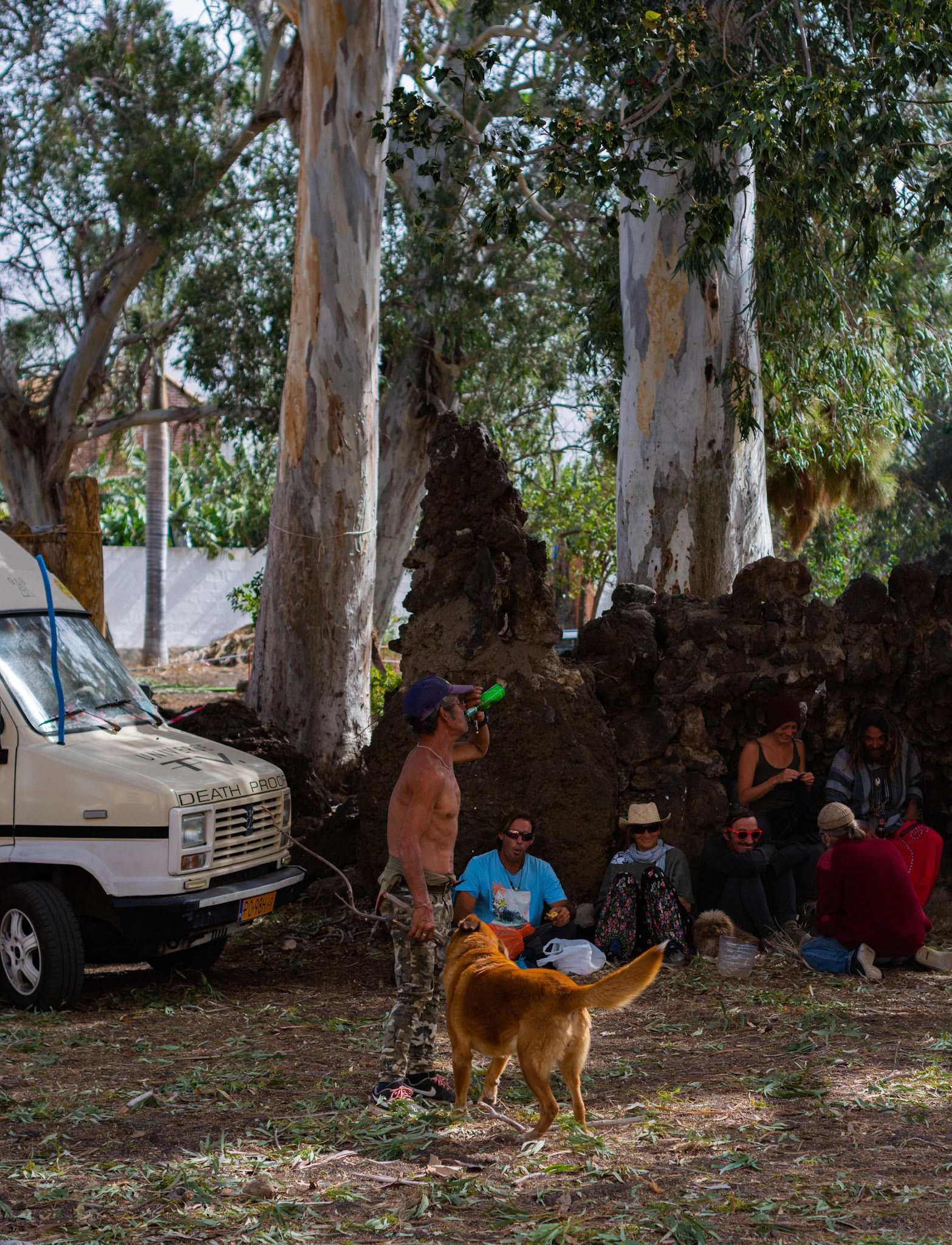 Priorities. La Palma, Canary Islands. February 2020.