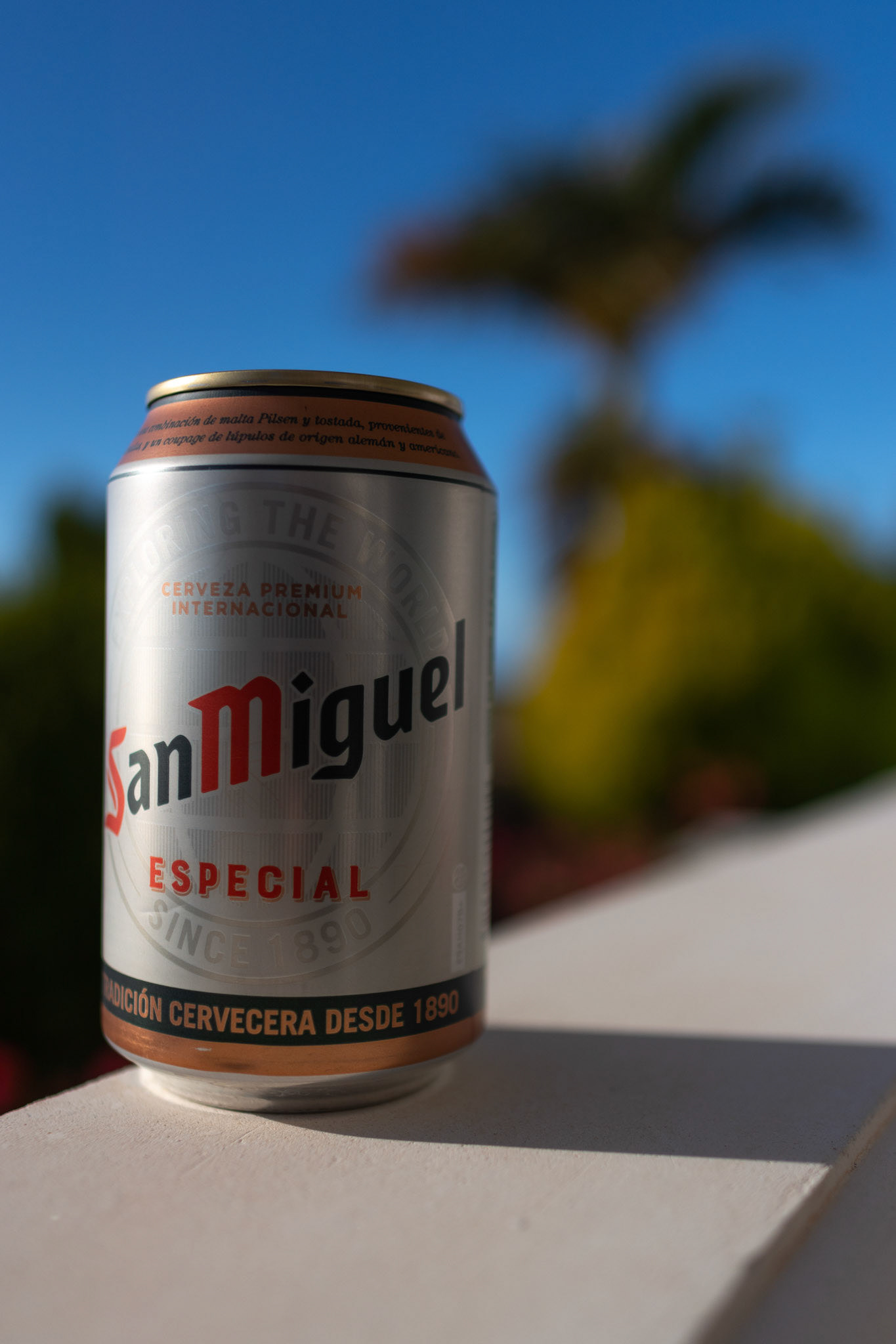 Welcoming. La Palma, Canary Islands. February 2020.