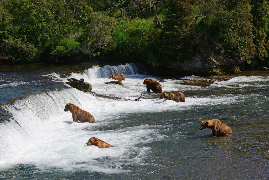 Katmai National Park