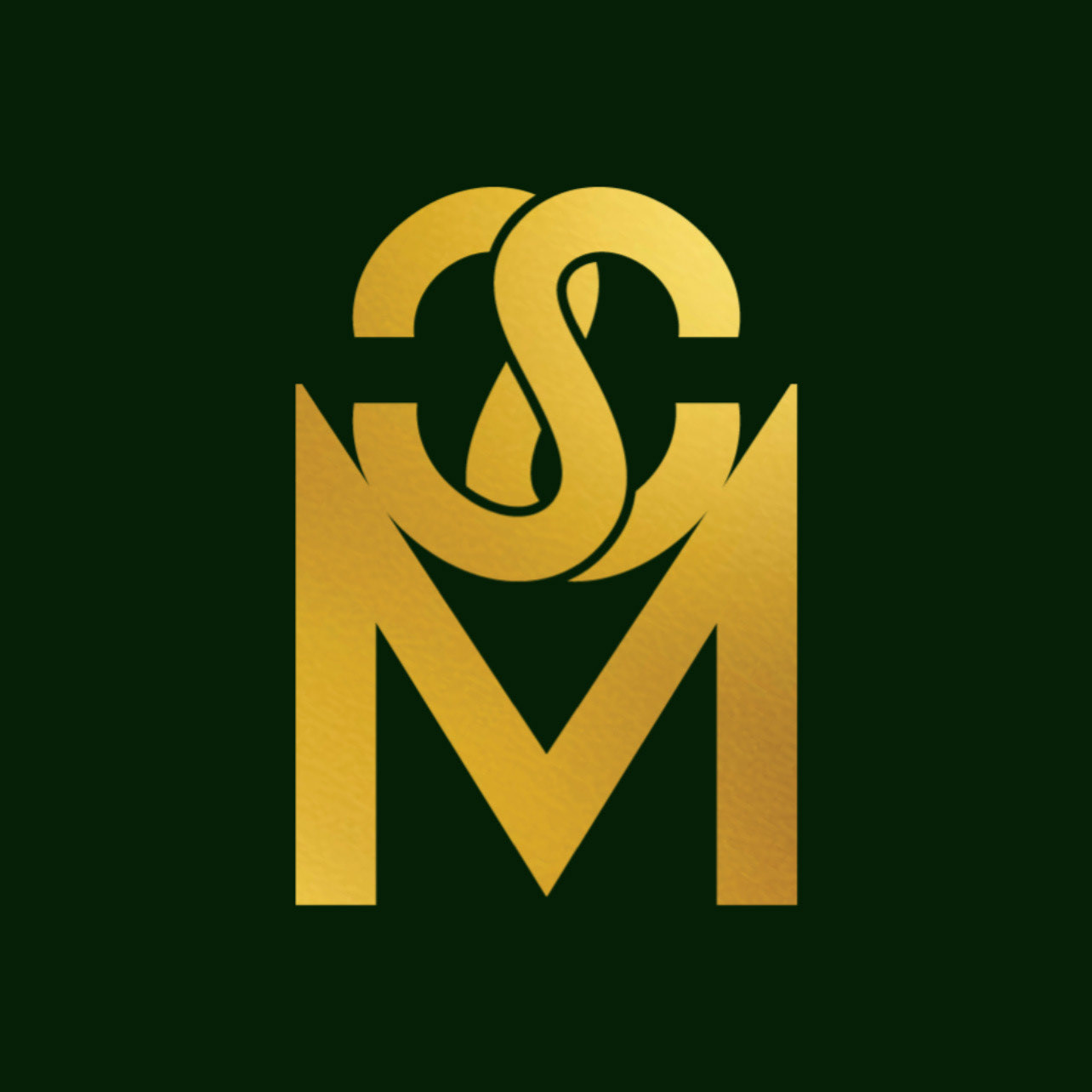 The “SSM” logo was used to represent the parents (both of their initials are S.M). This logo was used on the statue in the Emerald City background.