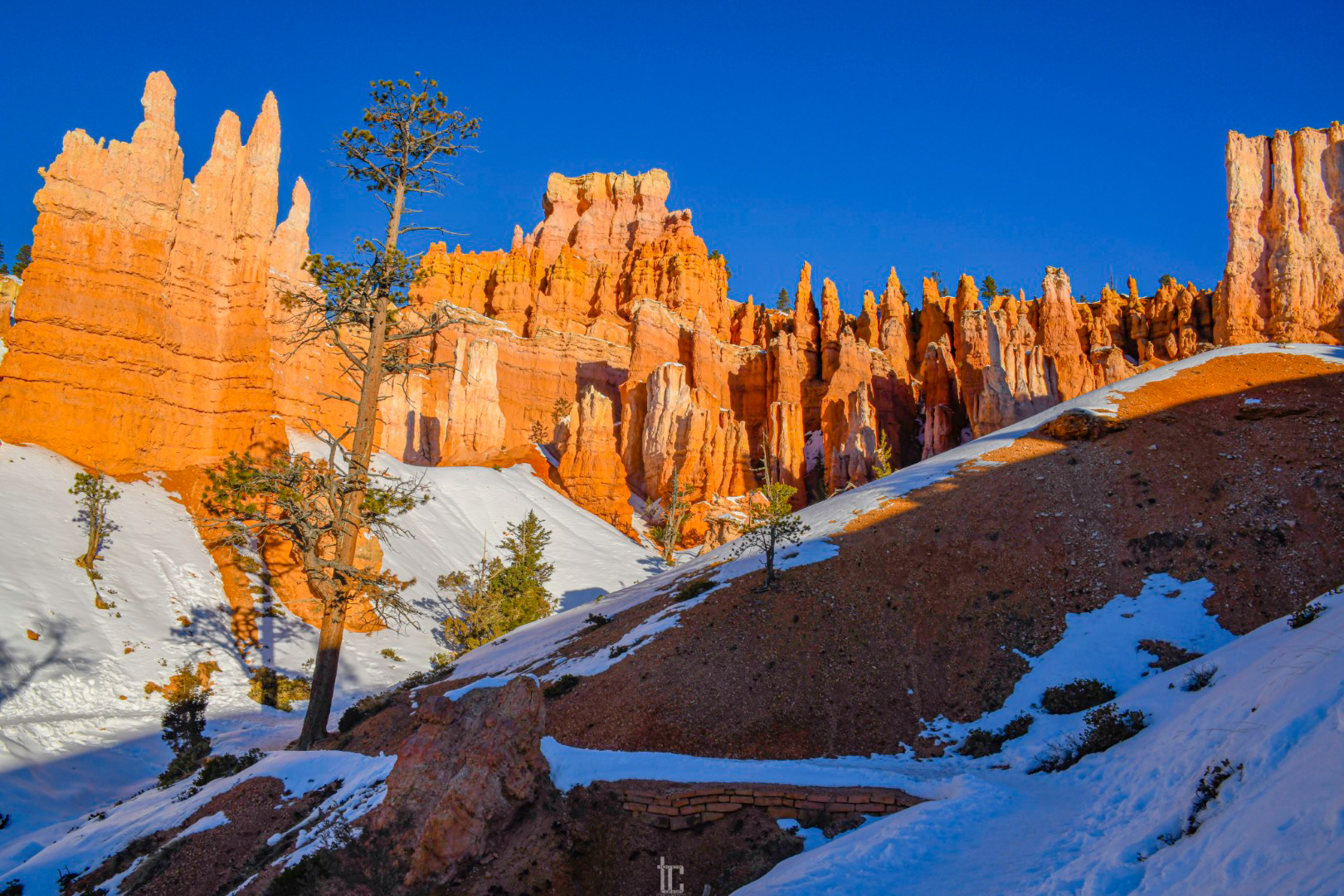 Bryce Canyon National Park
