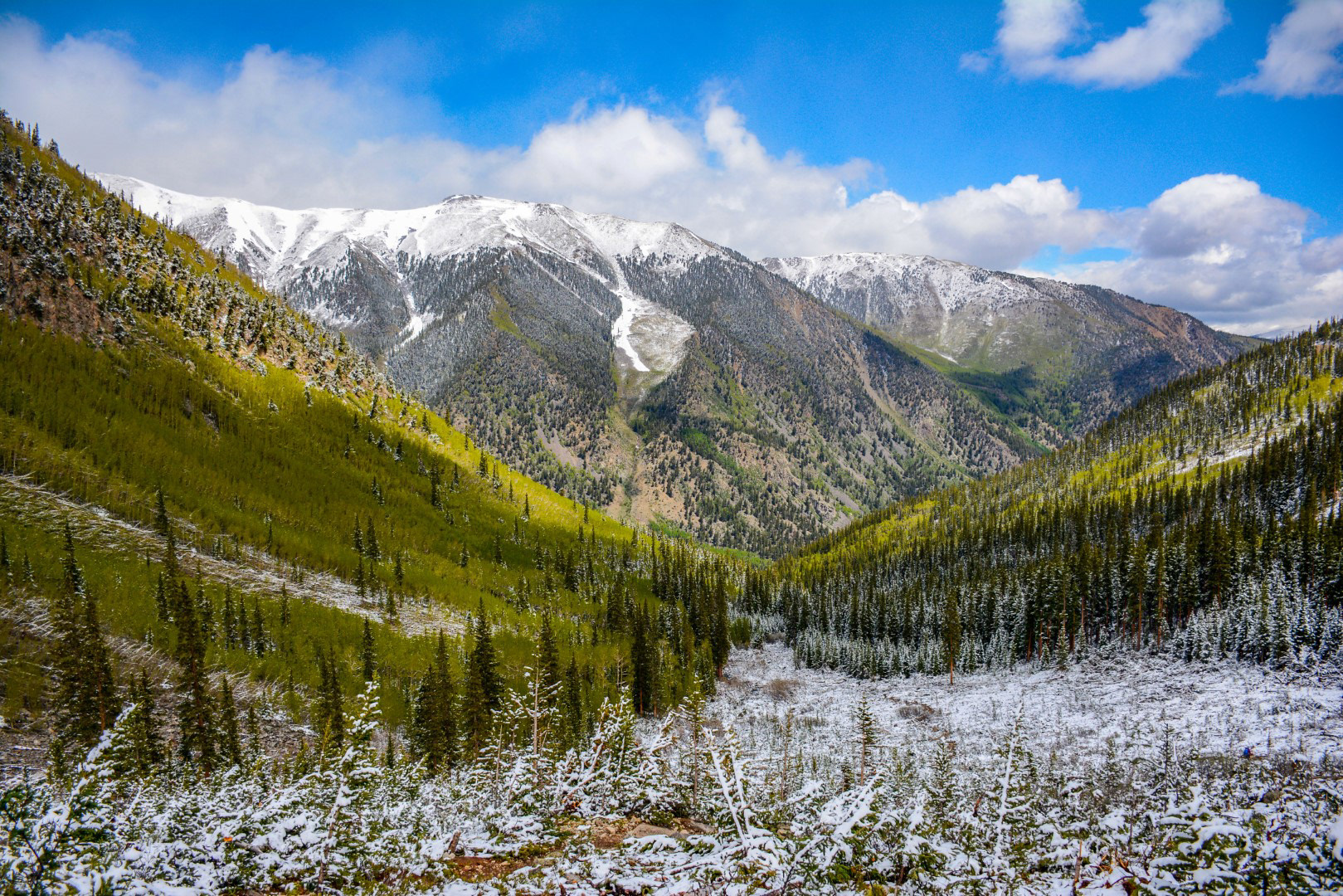 Looking back along the Mt Belford trail