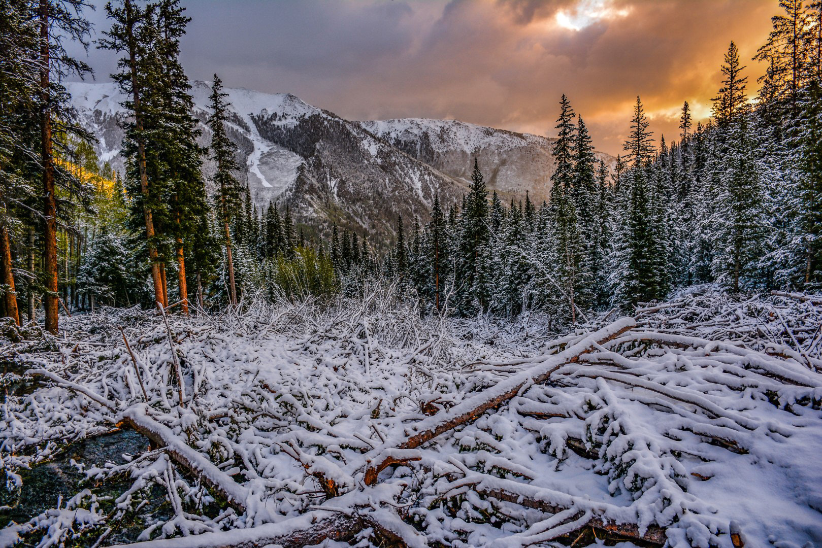 Sunrise heading up Mt Belford