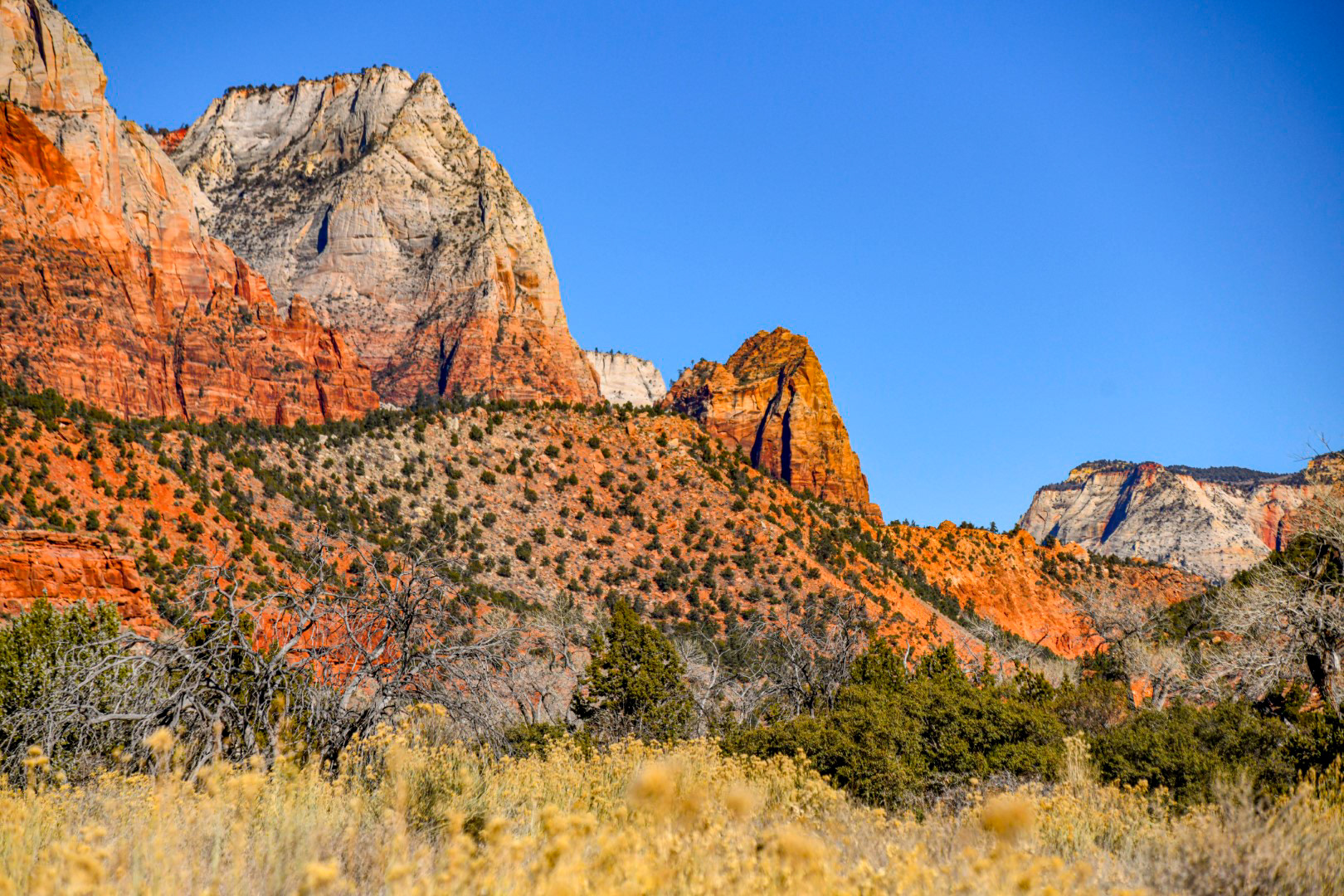 Zion National Park