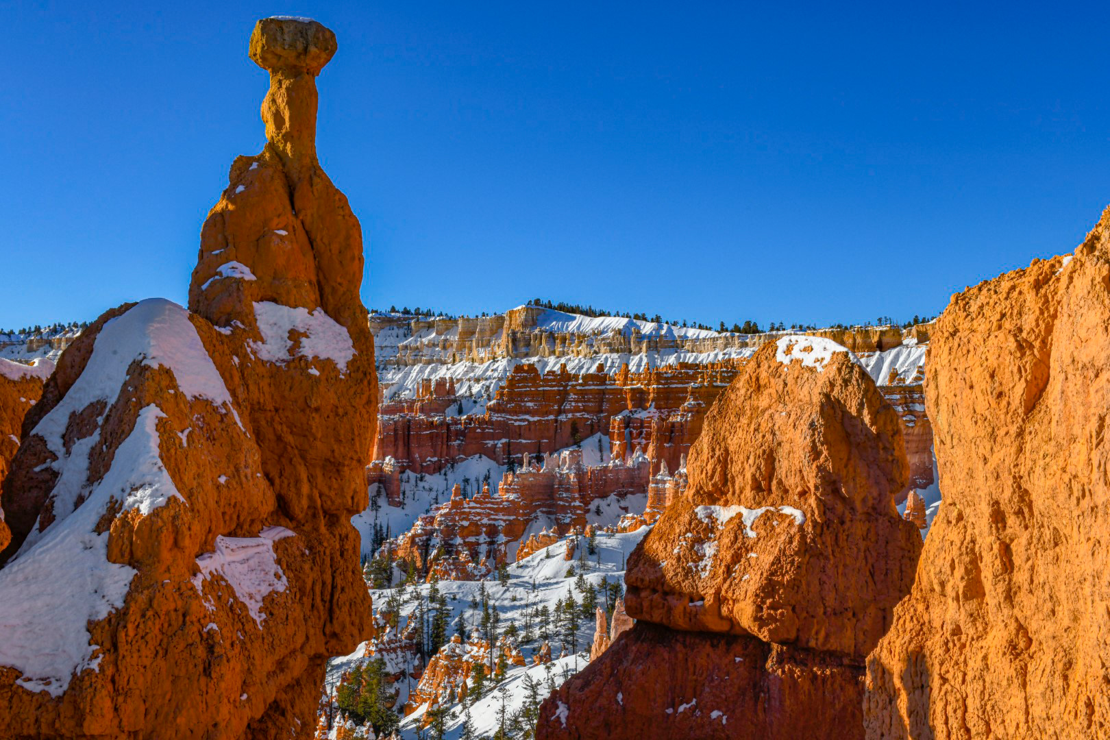 Bryce Canyon National Park