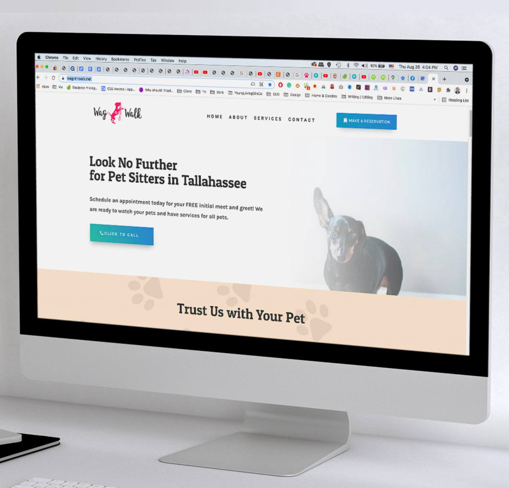 website design