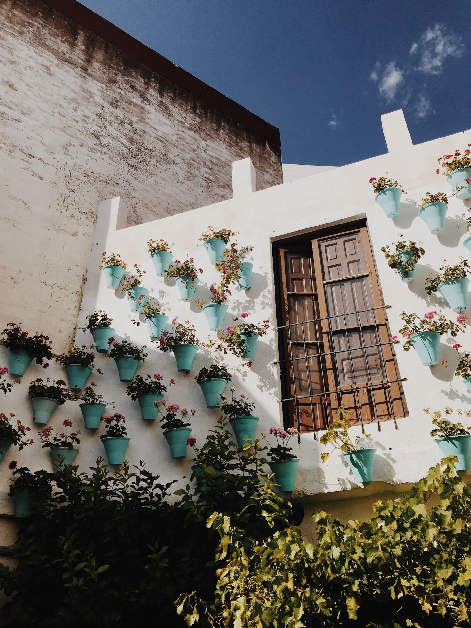 Wall of flowers in Cordoba