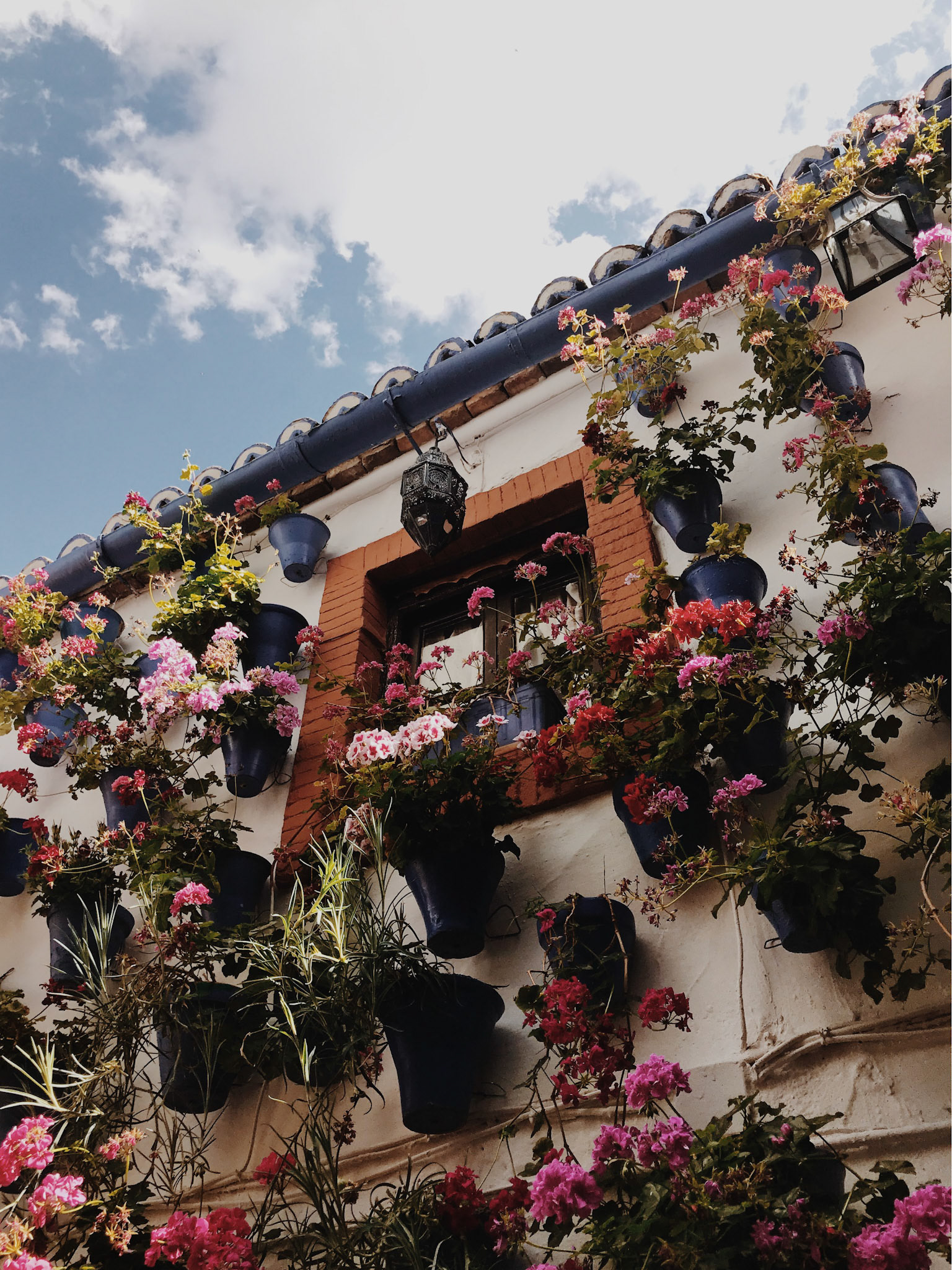 Window surrounded by flowers in Cordoba