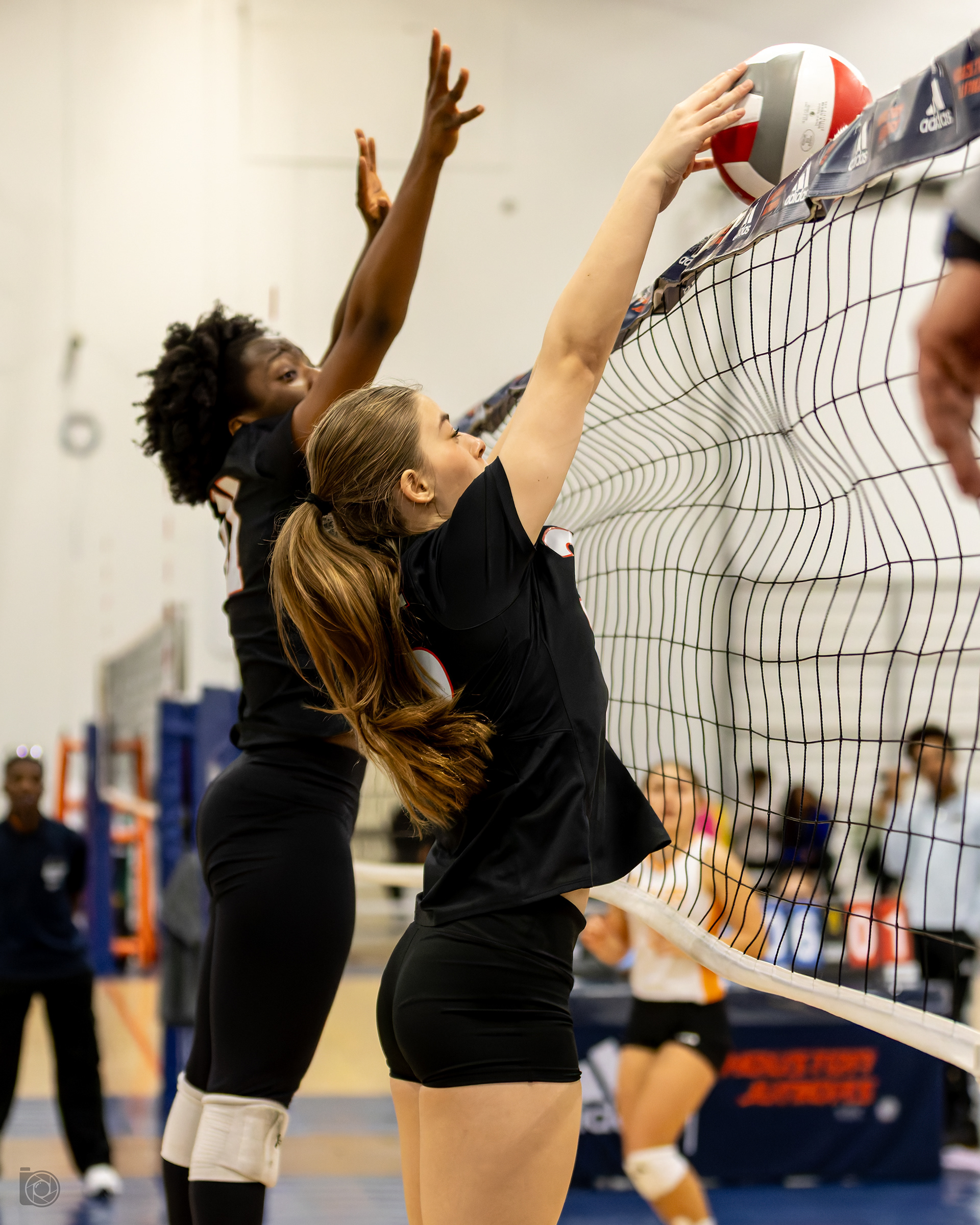 VOLLEYBALL ALBUMS
