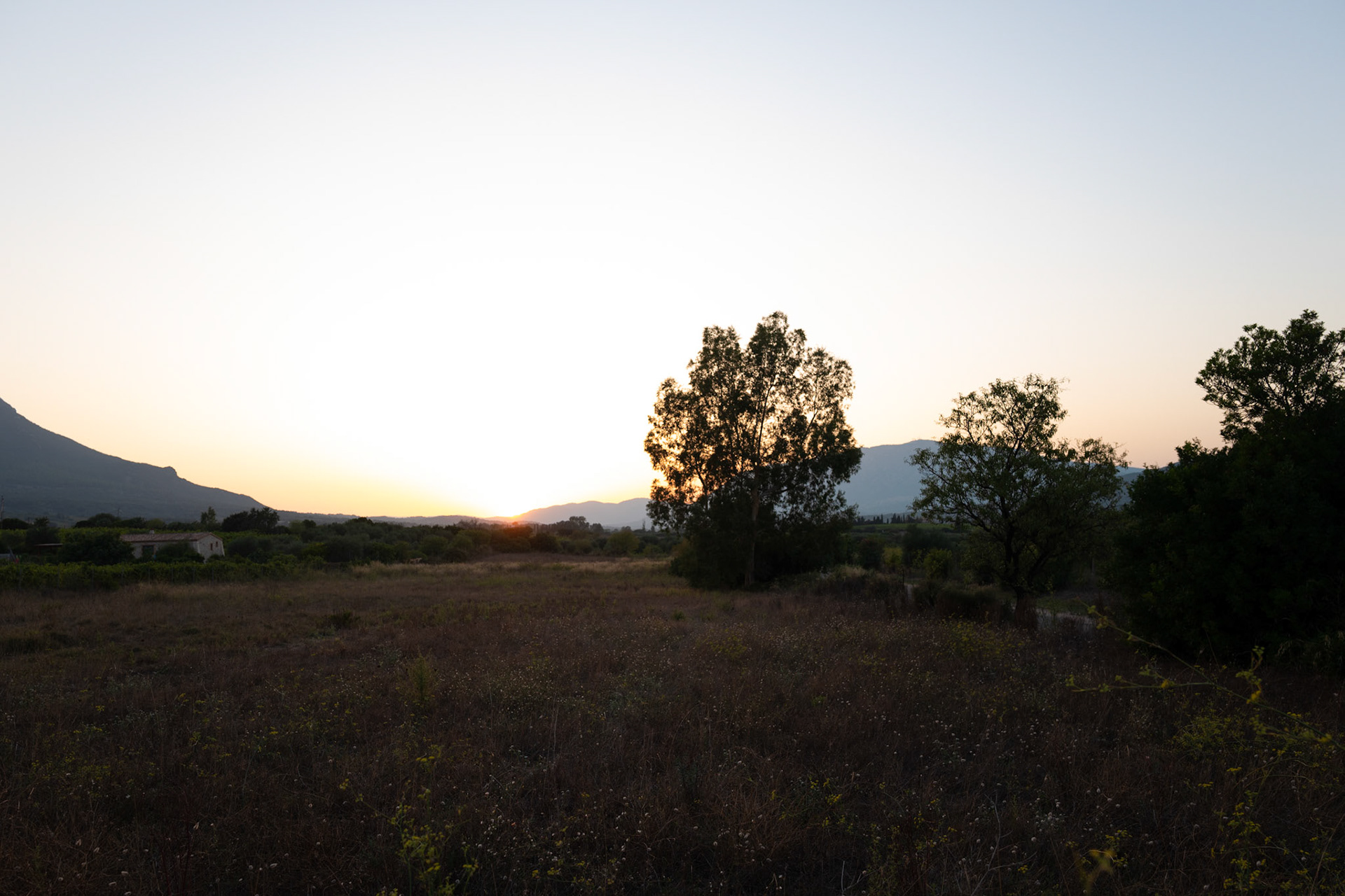 from Agriturismo Guthiddai