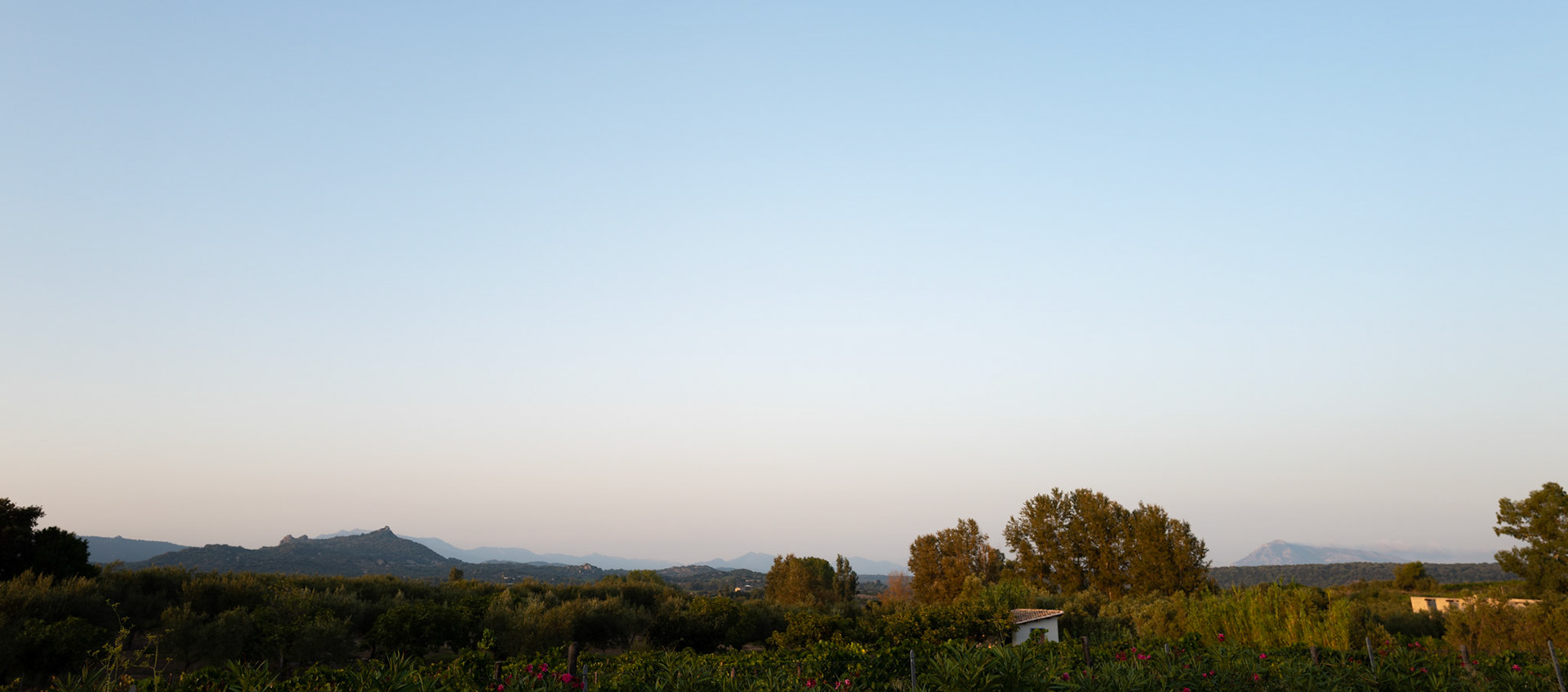 from our agriturismo, Guthiddai