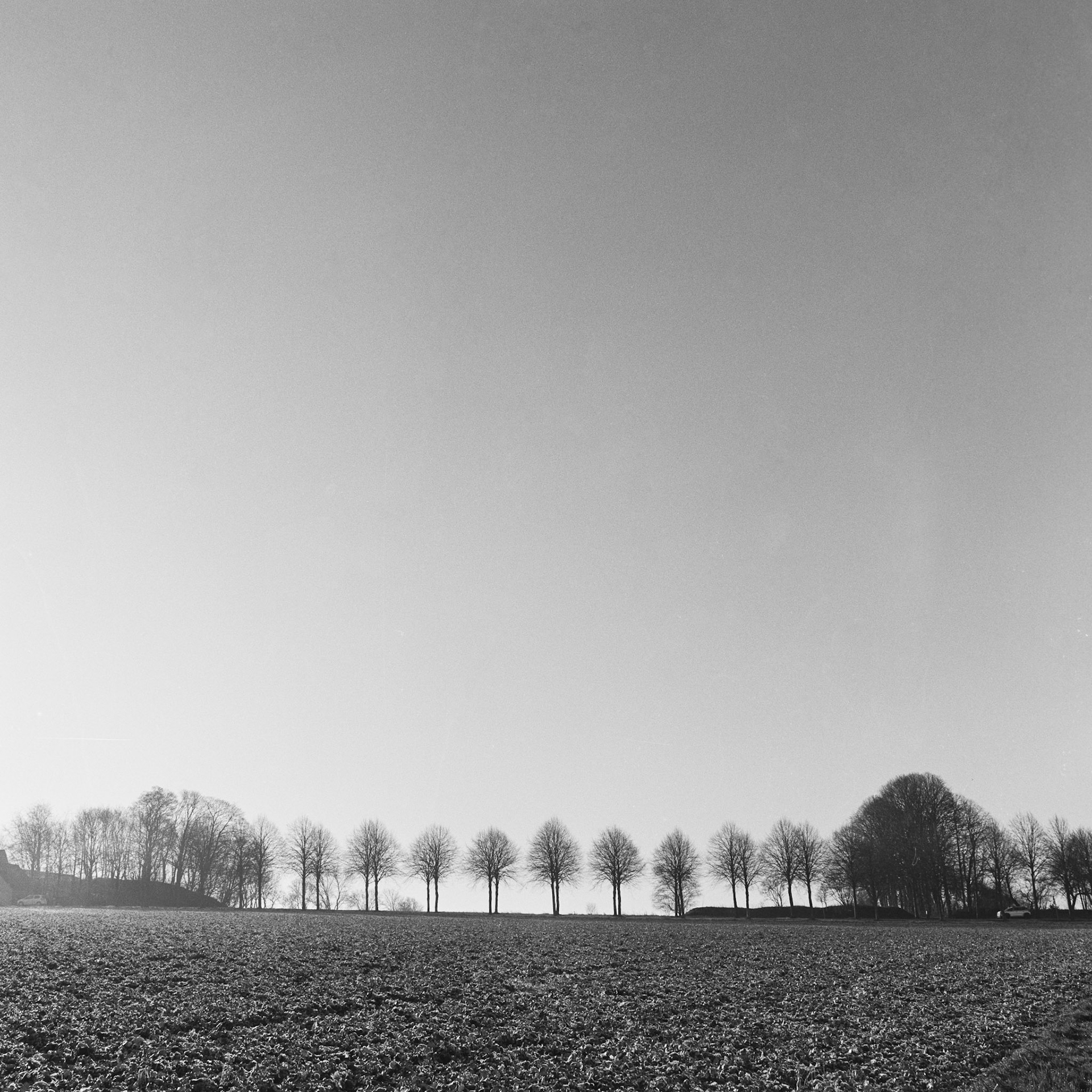 Ledreborg allé