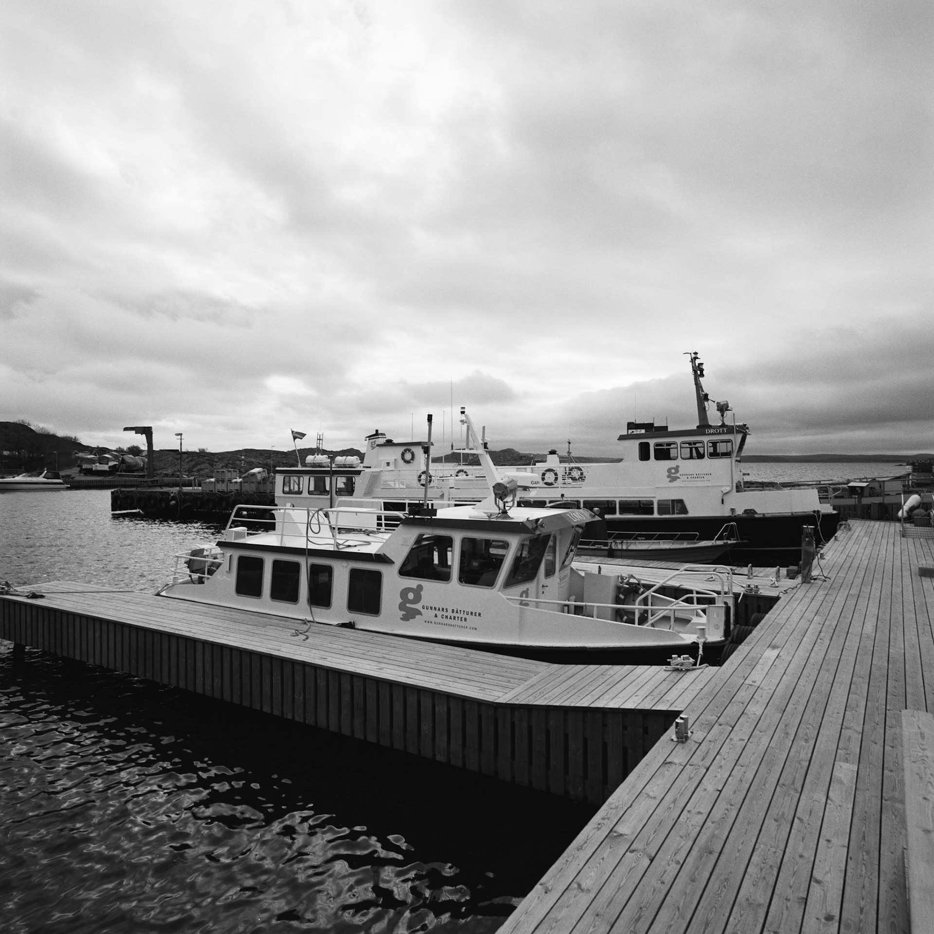 Dyrön