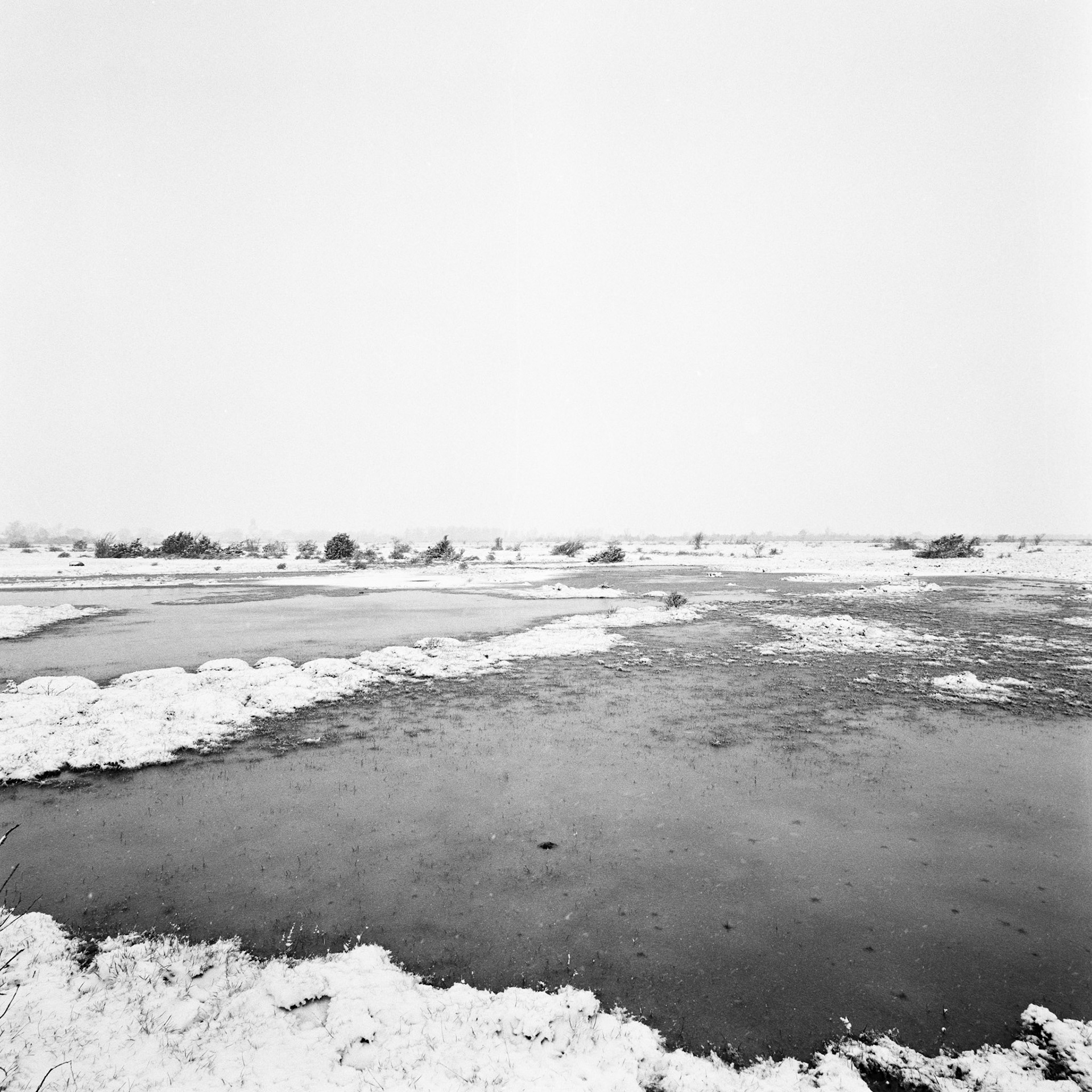 Gynge alvar
