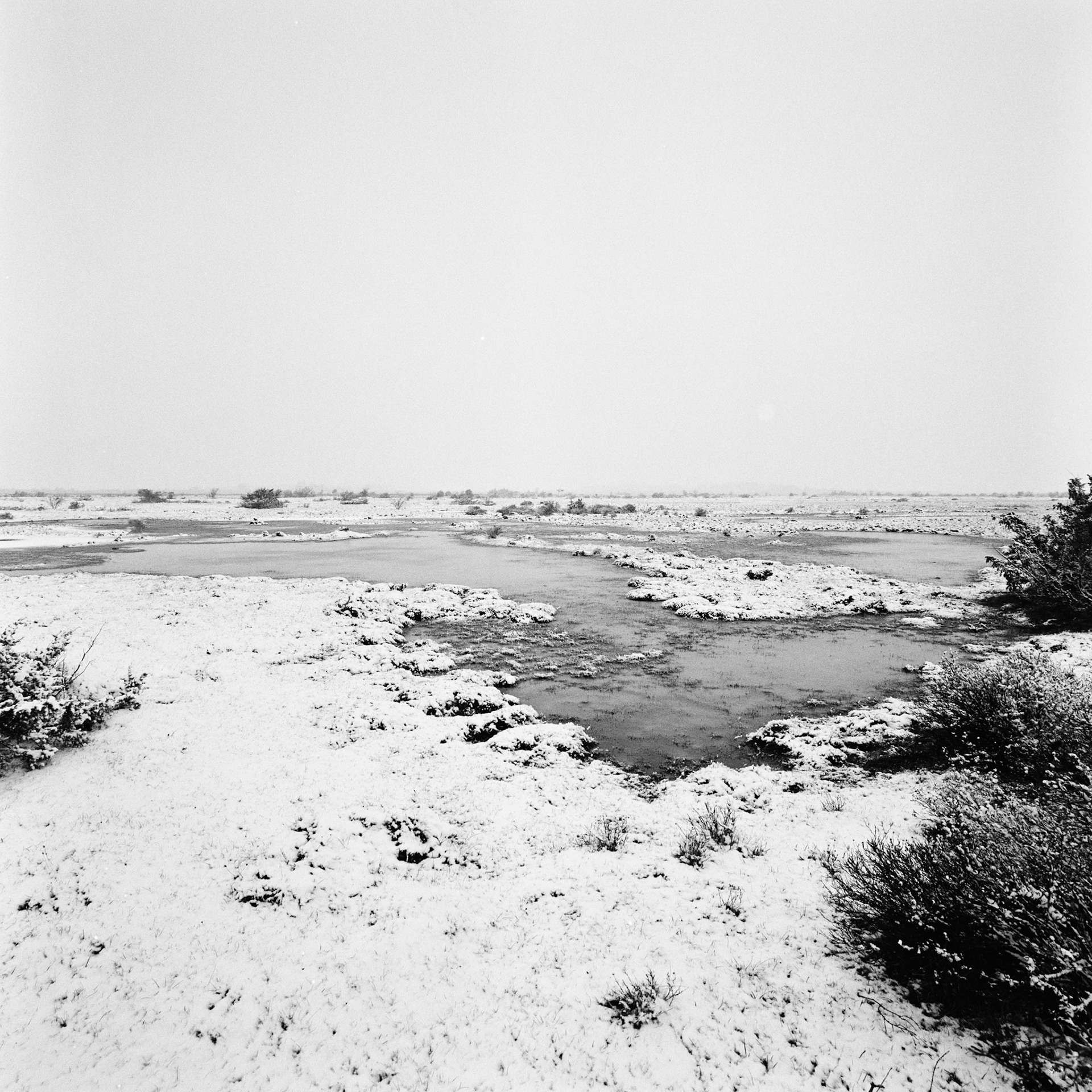 Gynge alvar