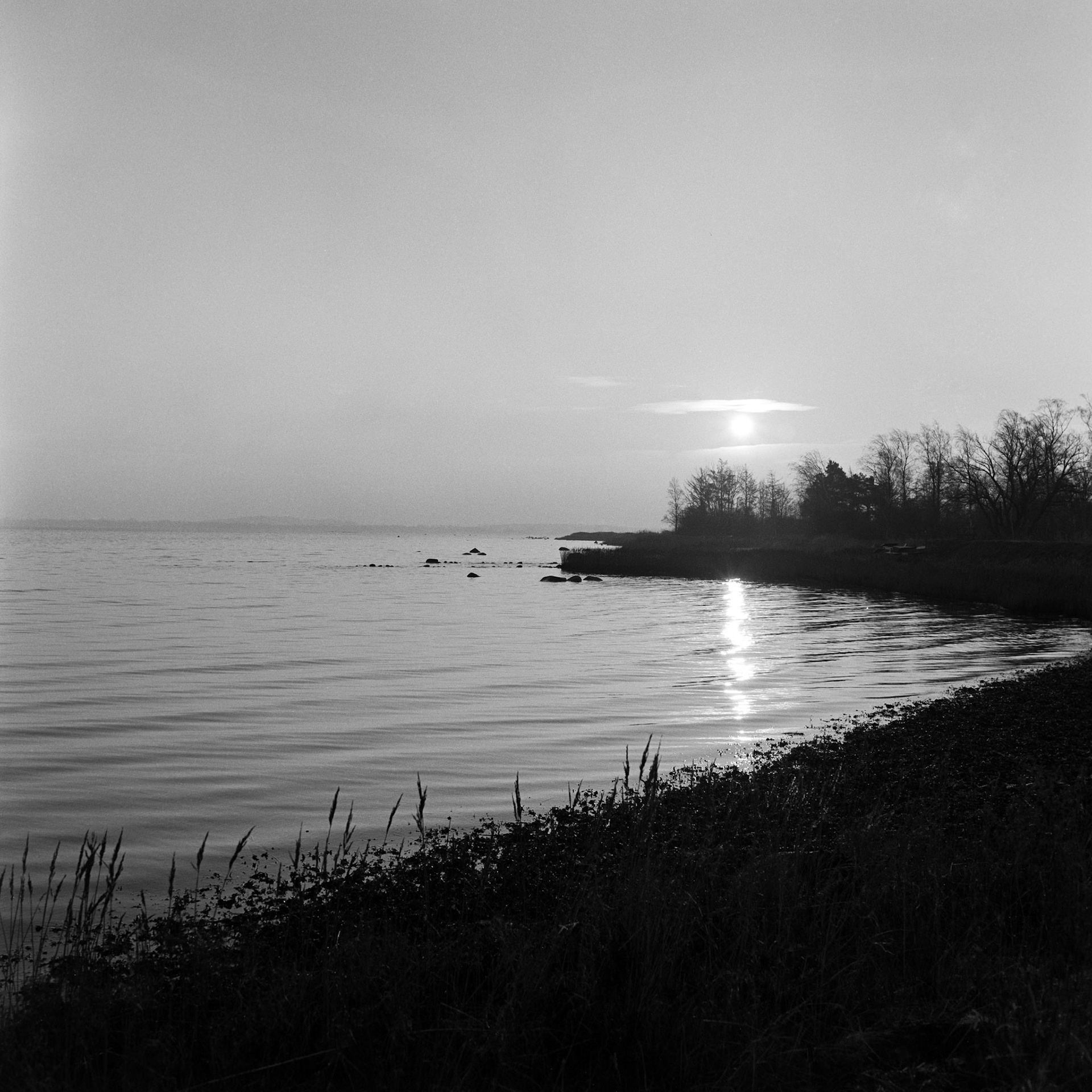 Sidinge dæmning