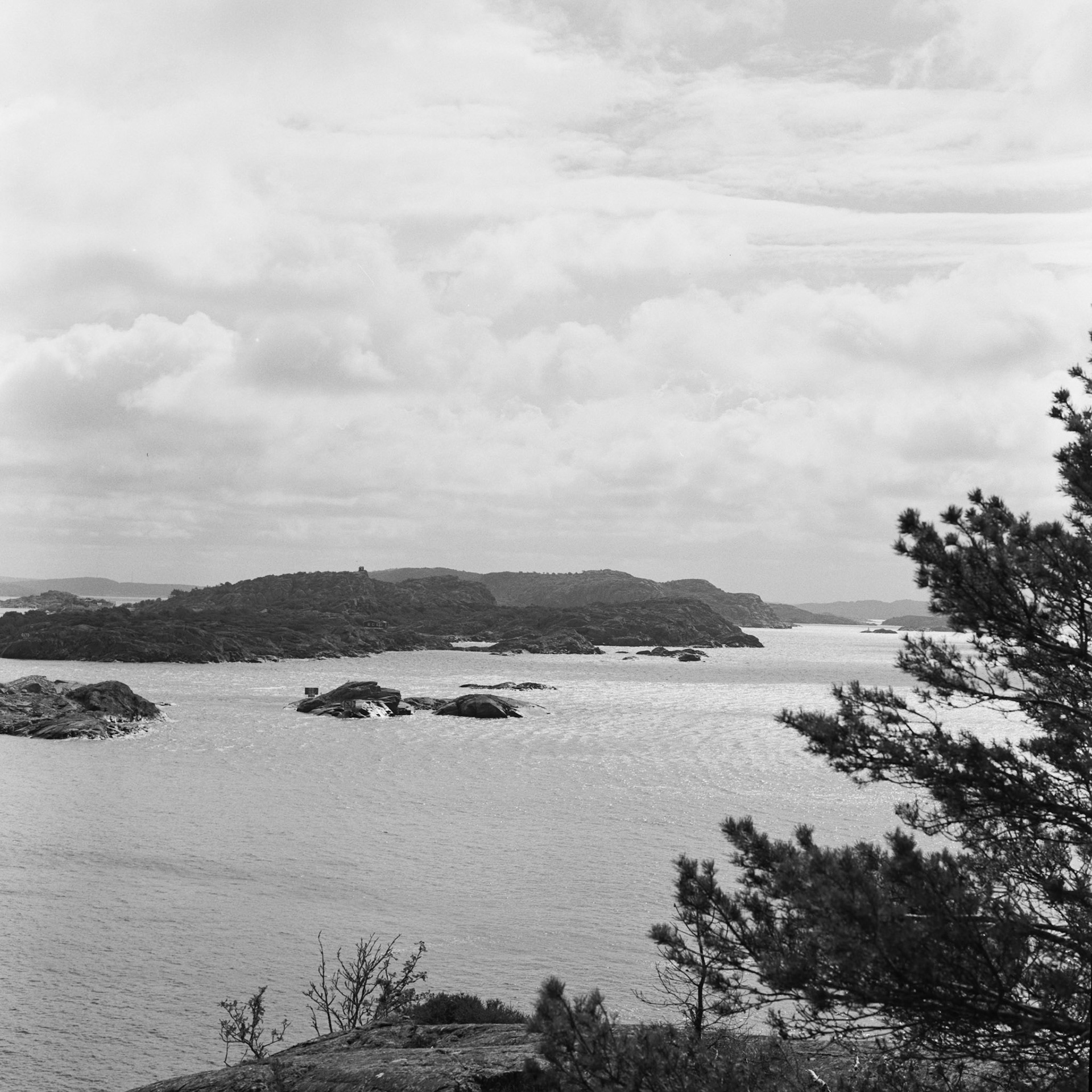 Dyrön