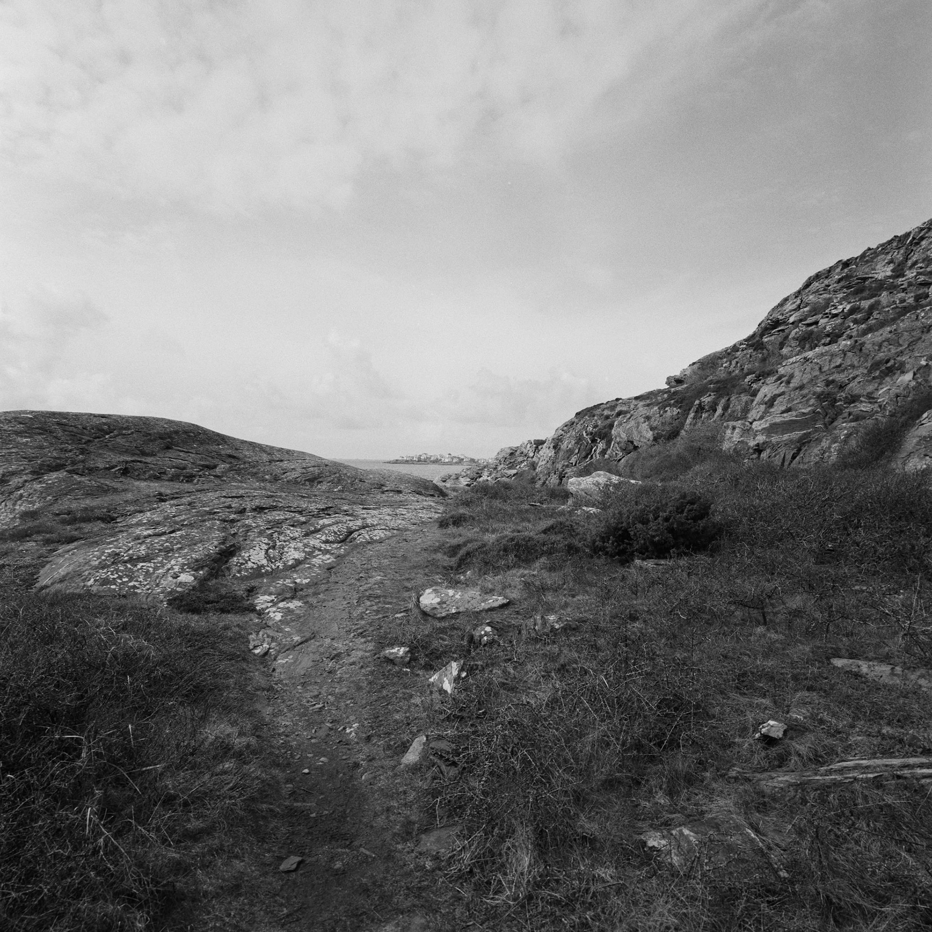 Dyrön