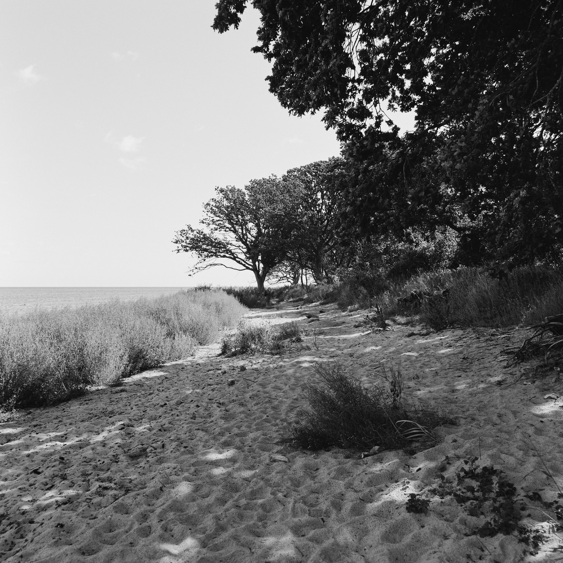 Roneklint