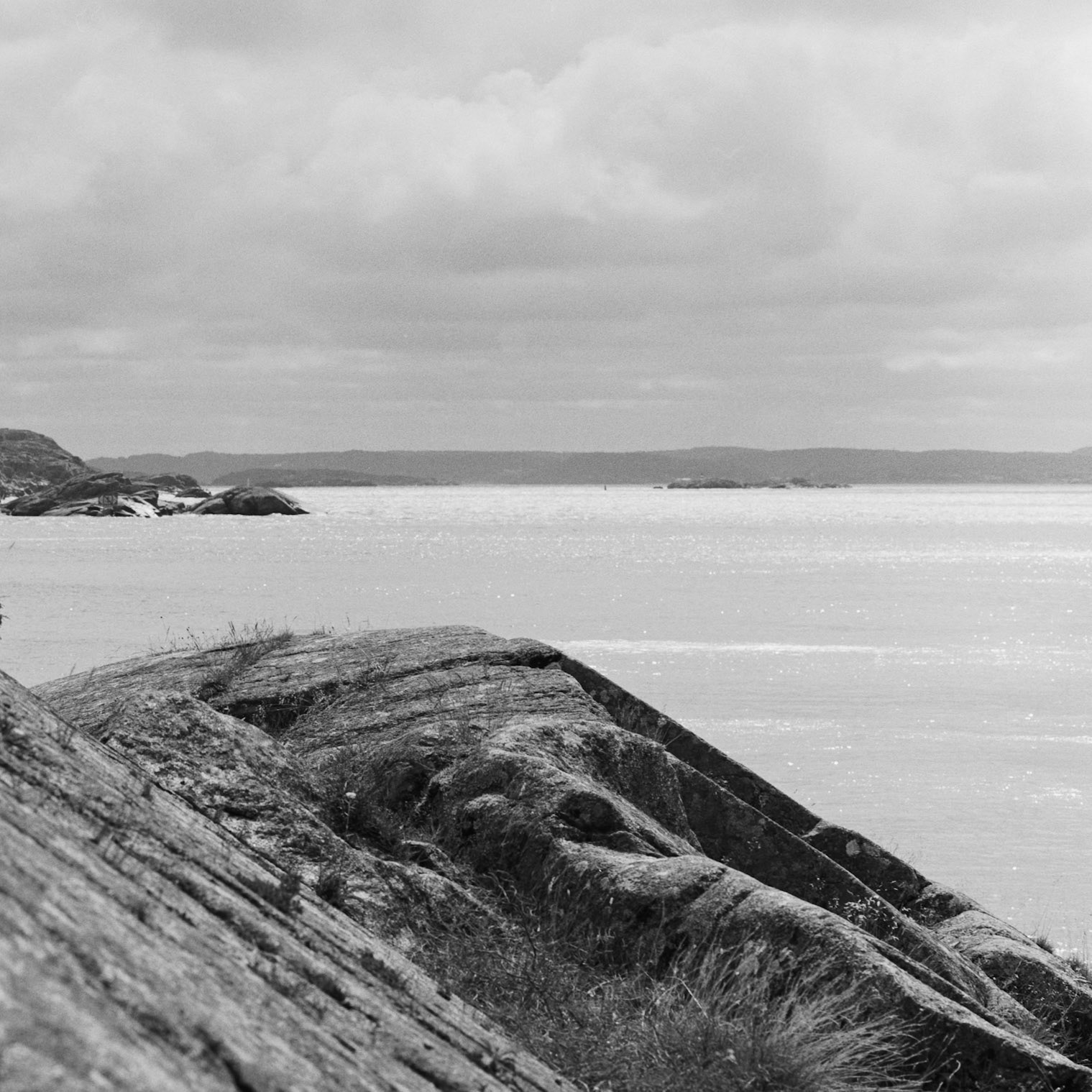 Dyrön