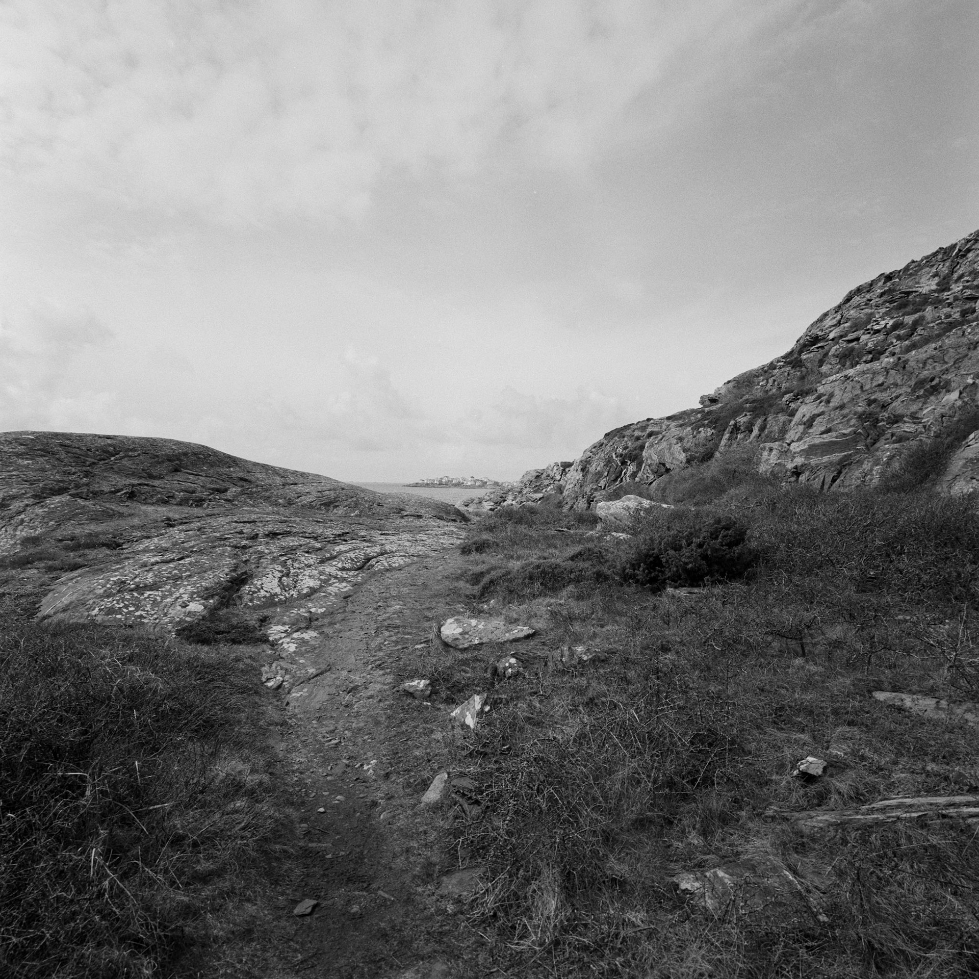 Dyrön