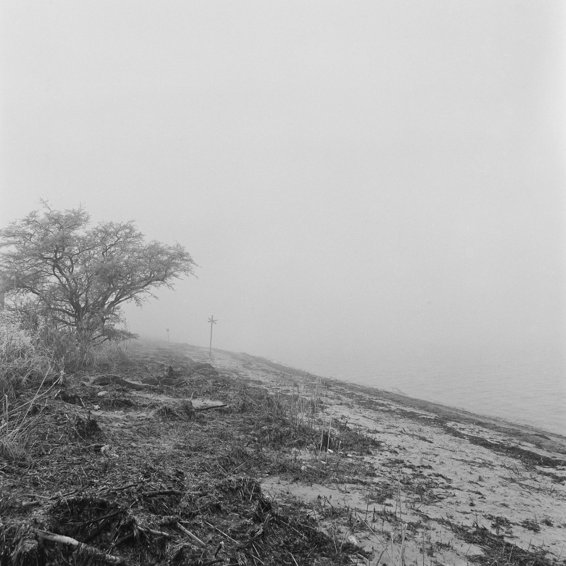Roneklint