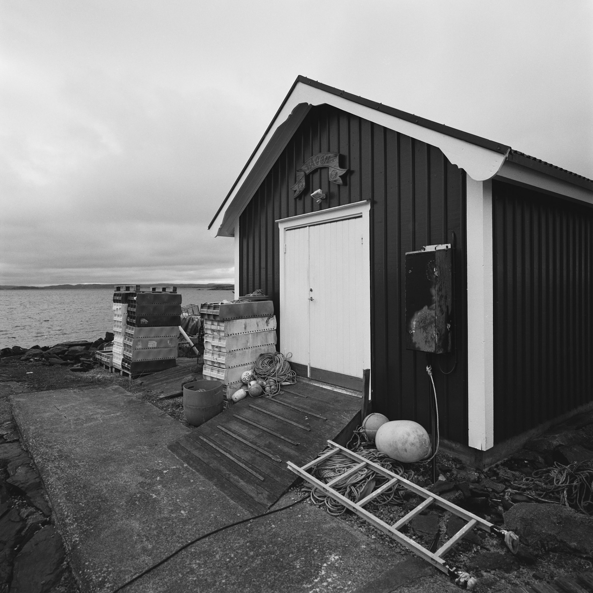 Dyrön