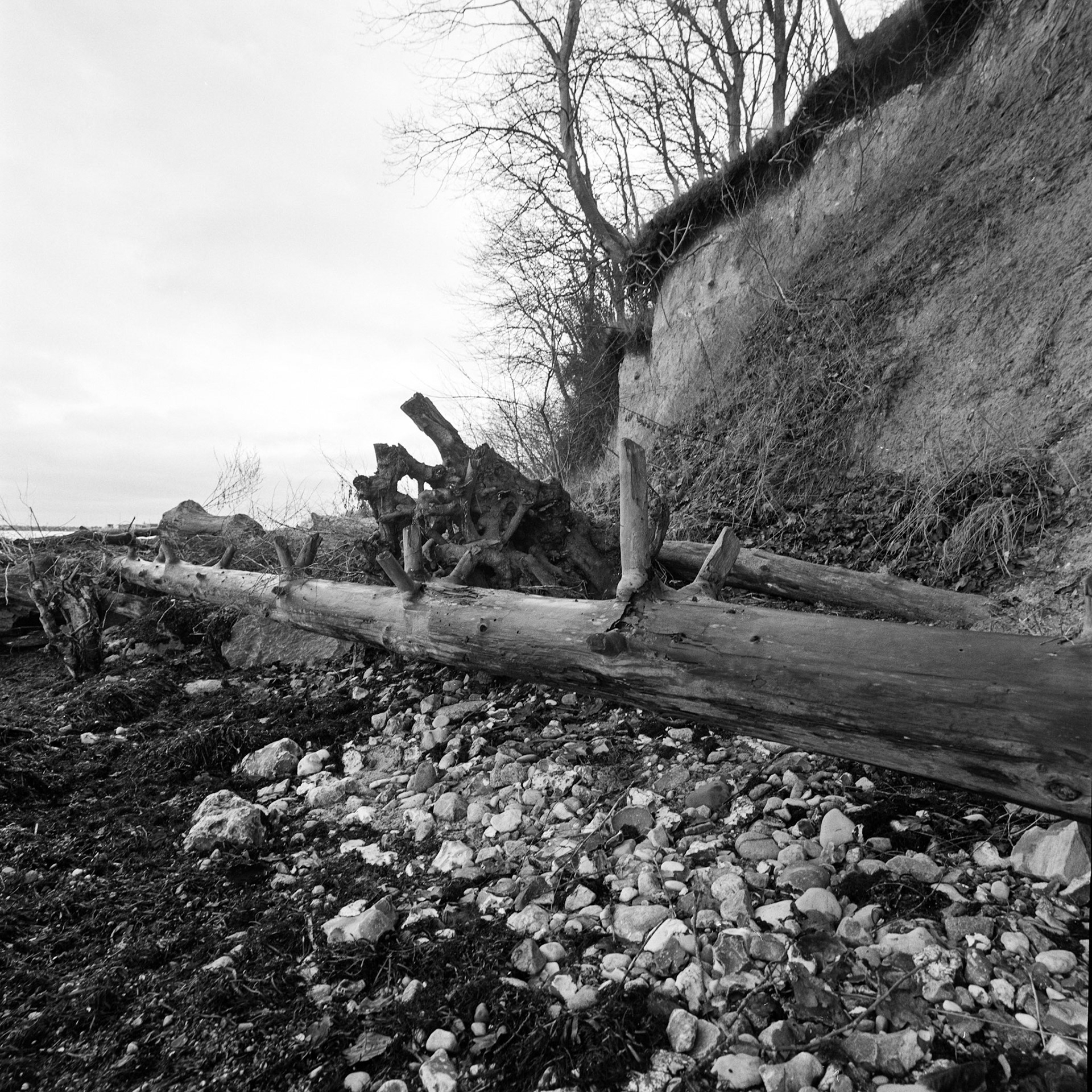 Bøgeskov havn strand