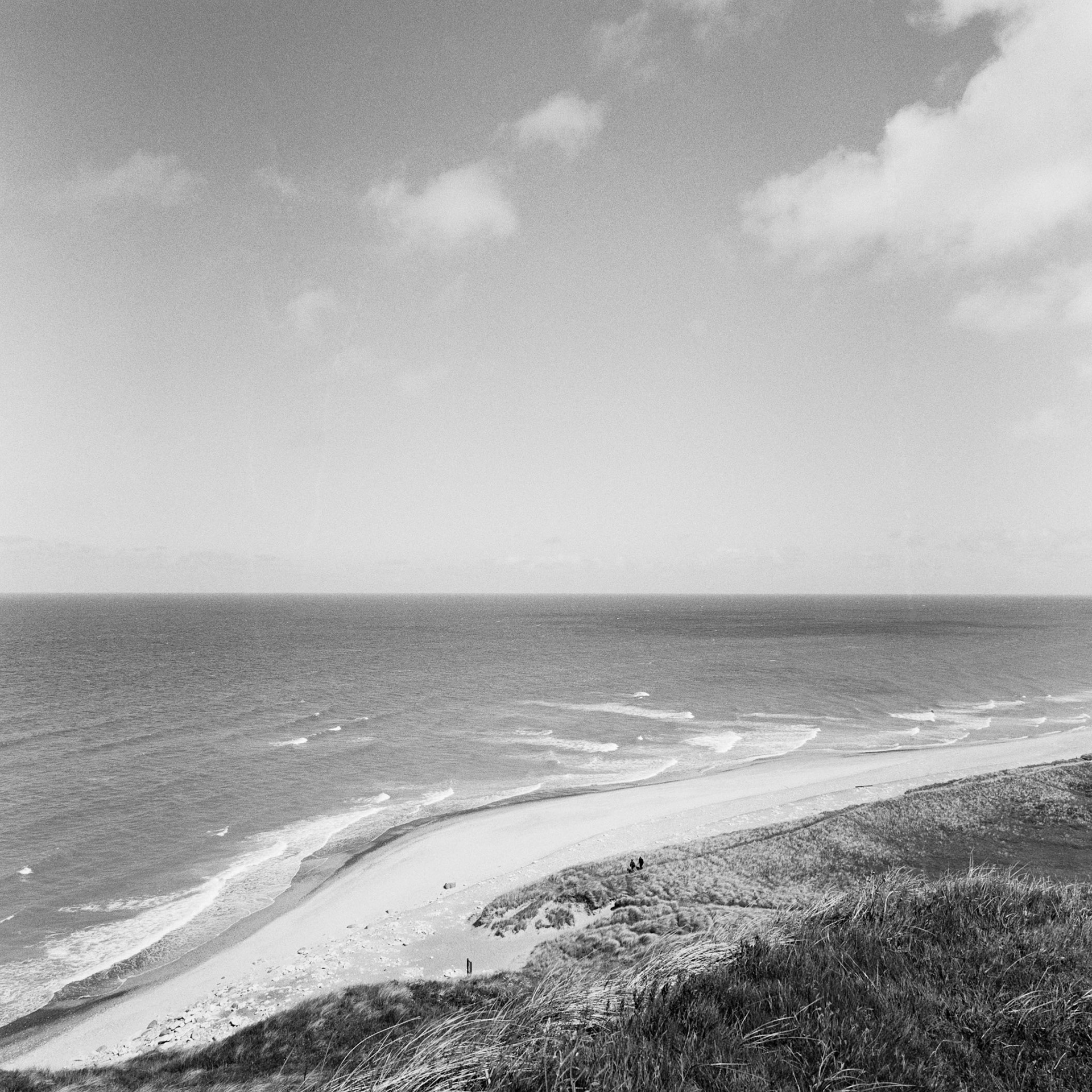 Bulbjerg
