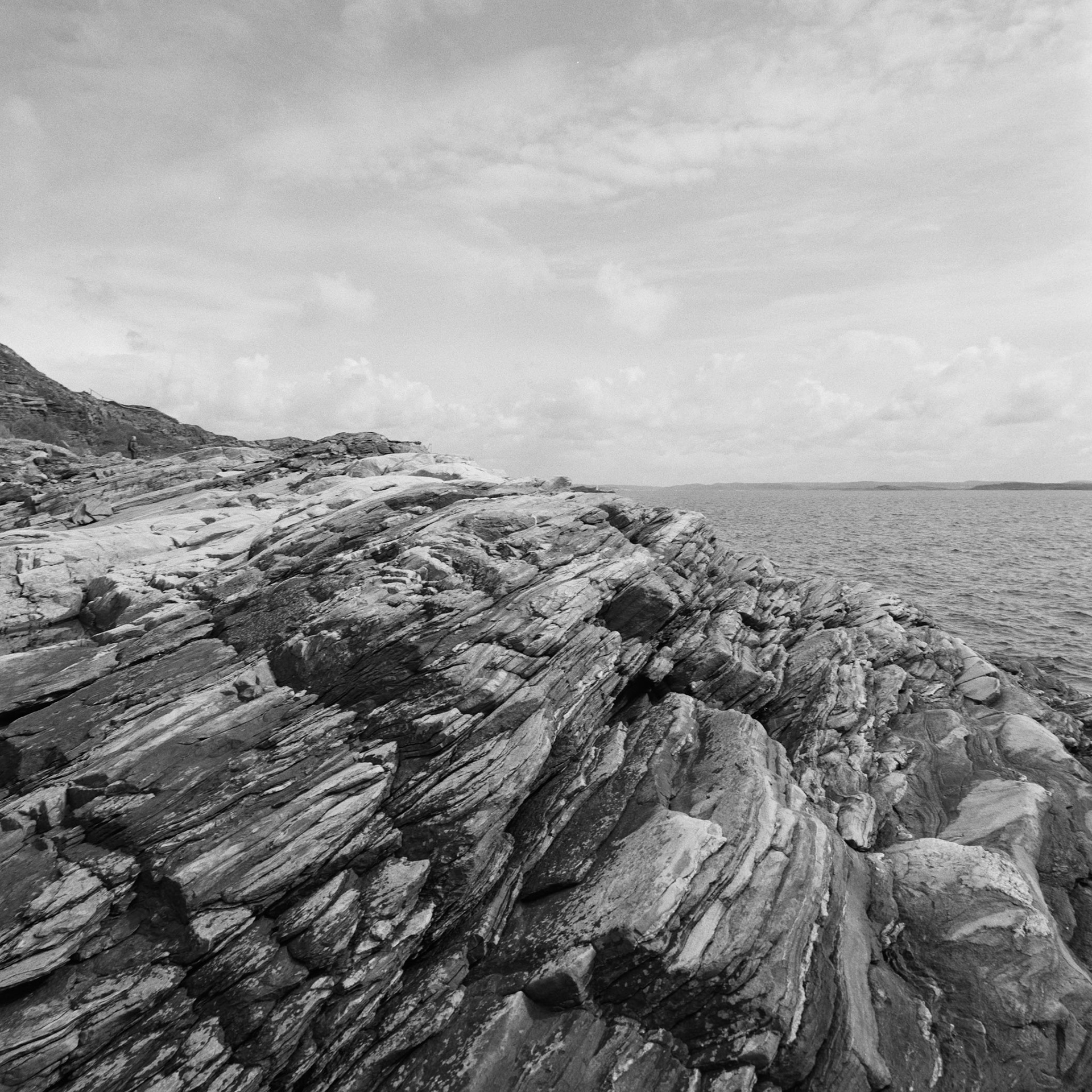 Dyrön