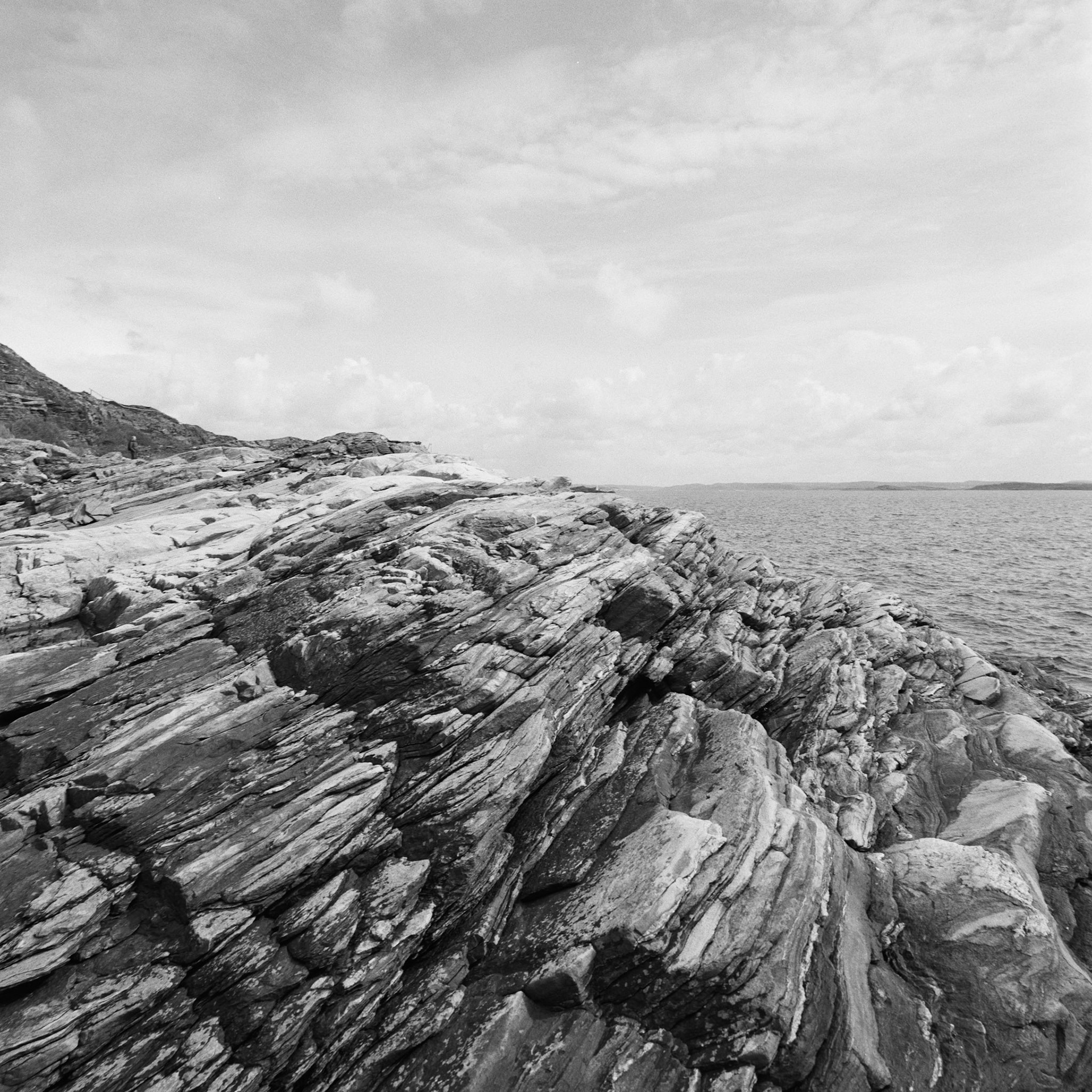 Dyrön
