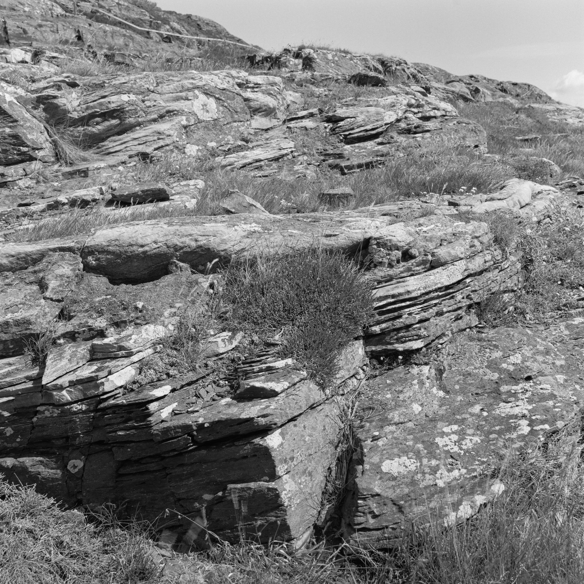 Stora Dyrön