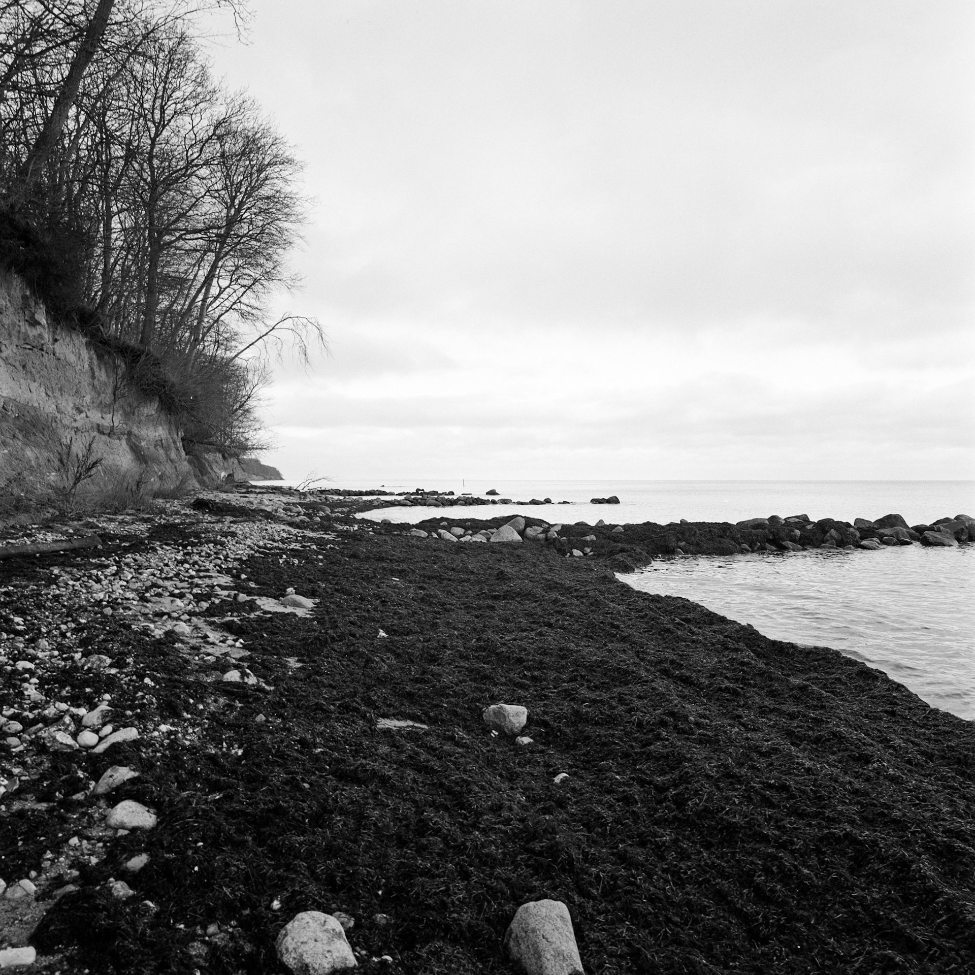 Bøgeskov havn strand
