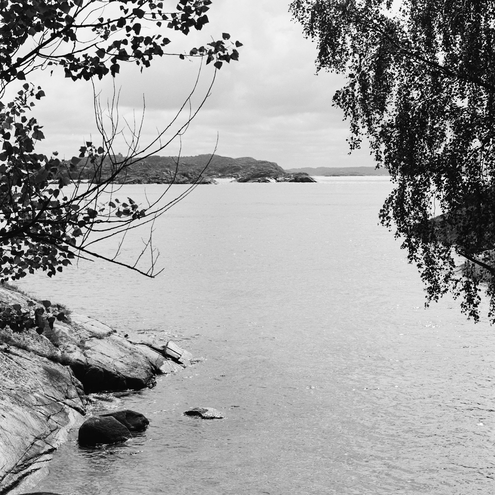 Dyrön