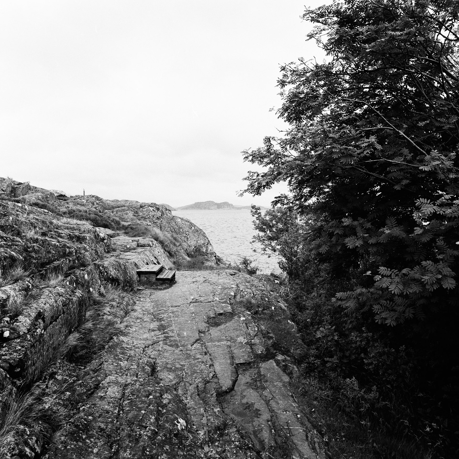 Stora Dyrön