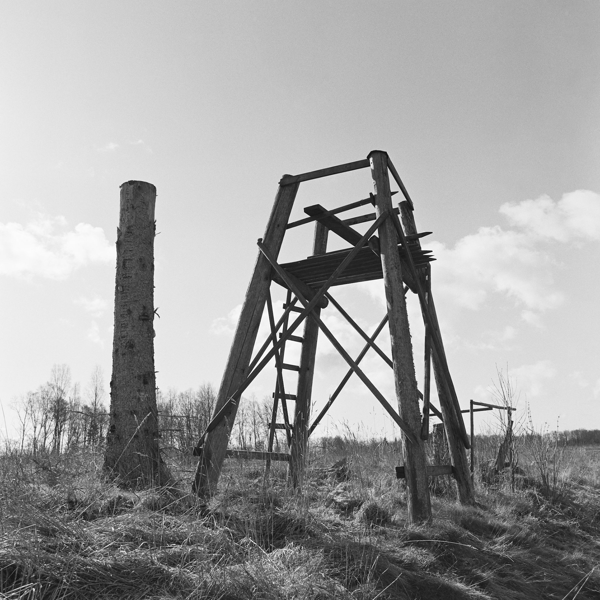 Stenum