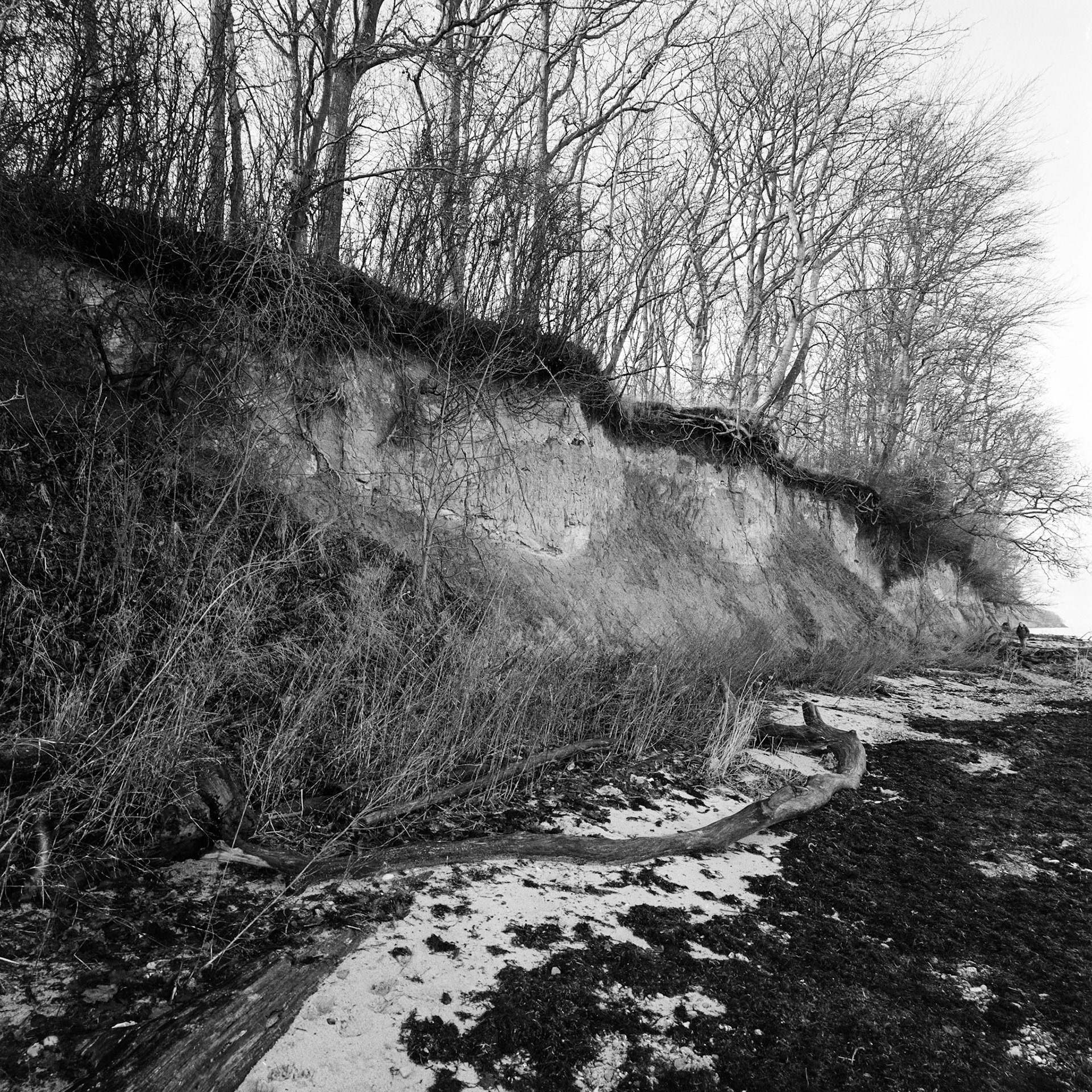 Bøgeskov havn strand