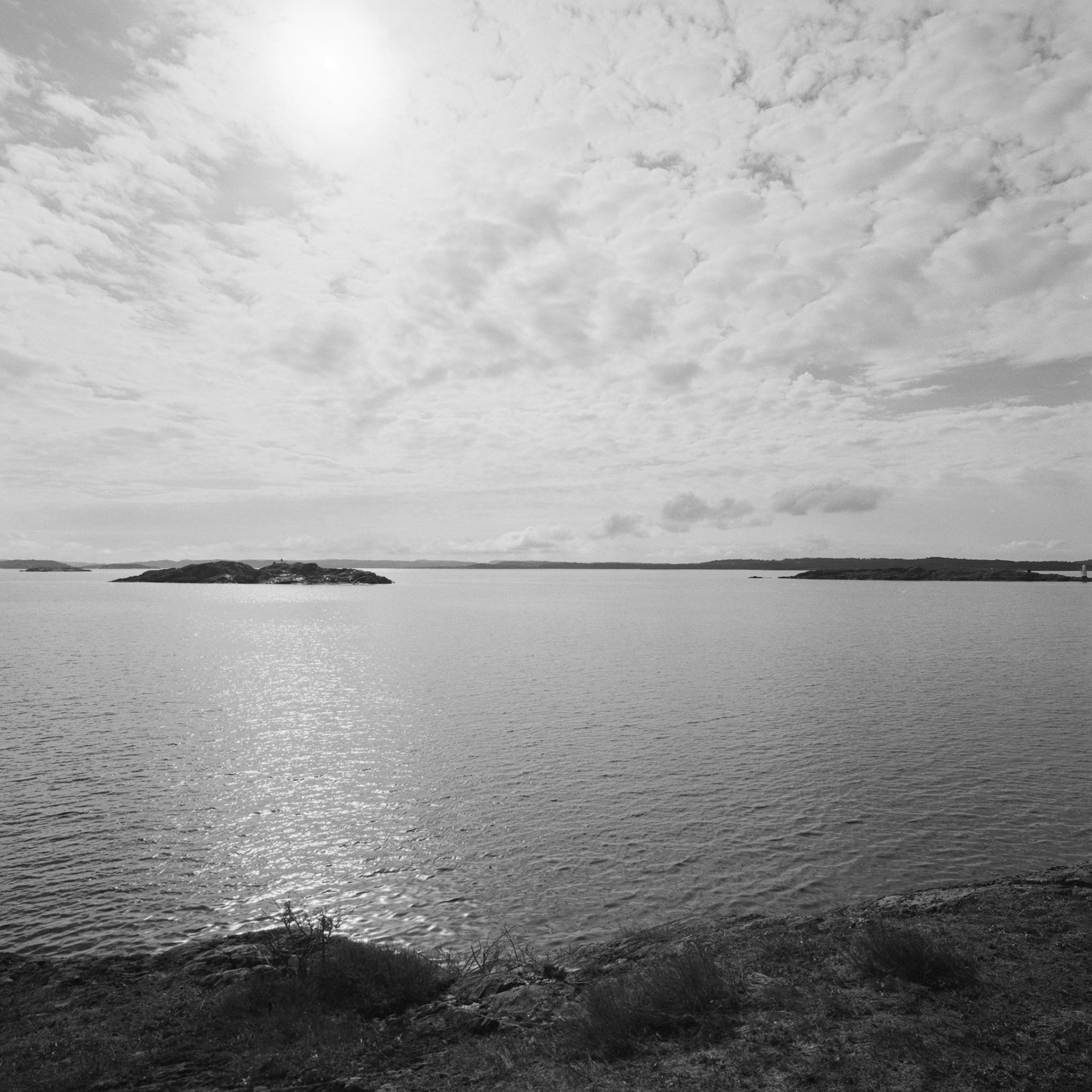 Dyrön