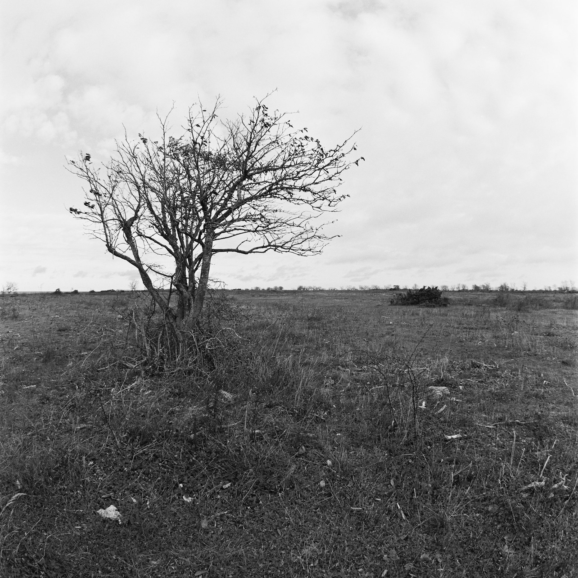 Grytehamn