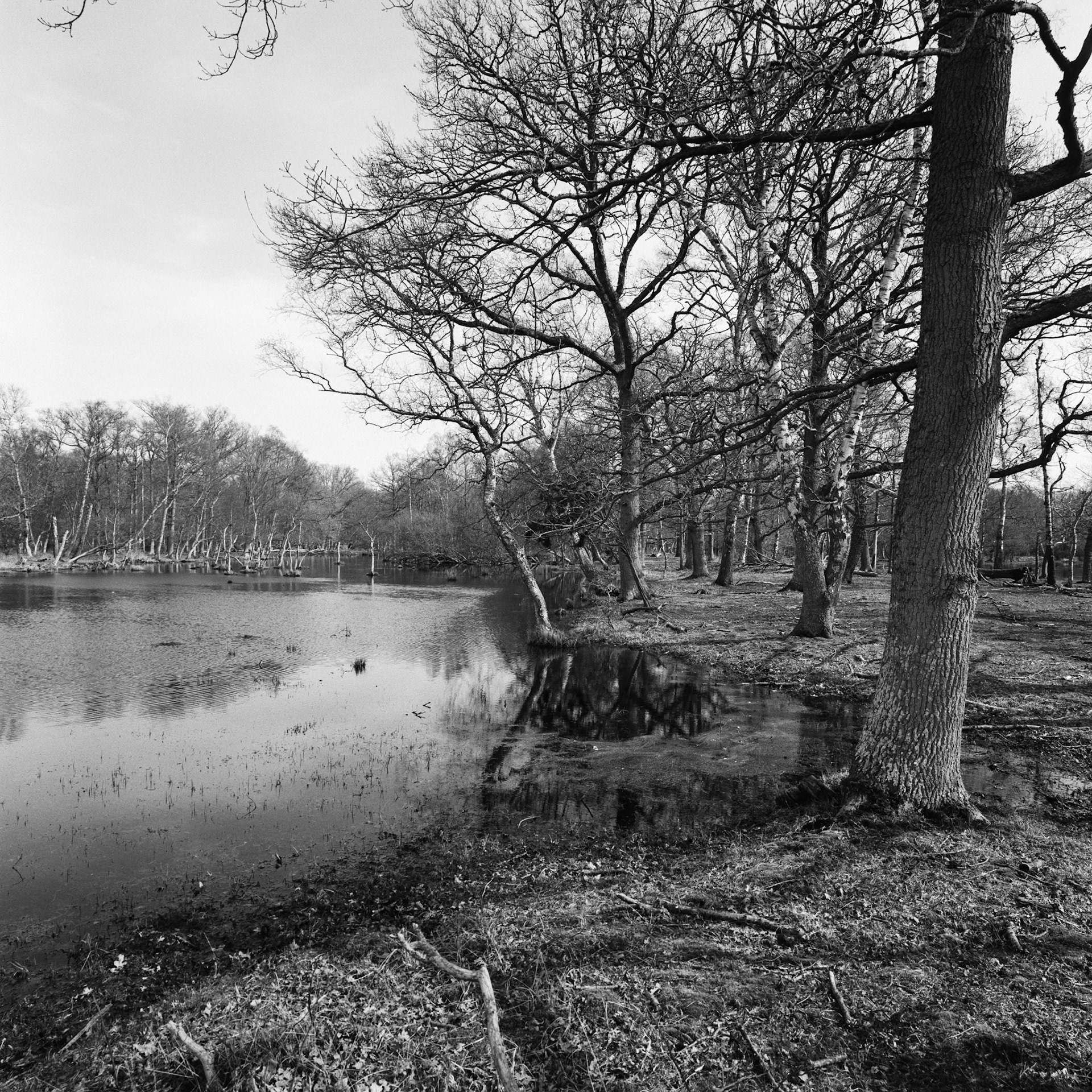 Ottenbylund