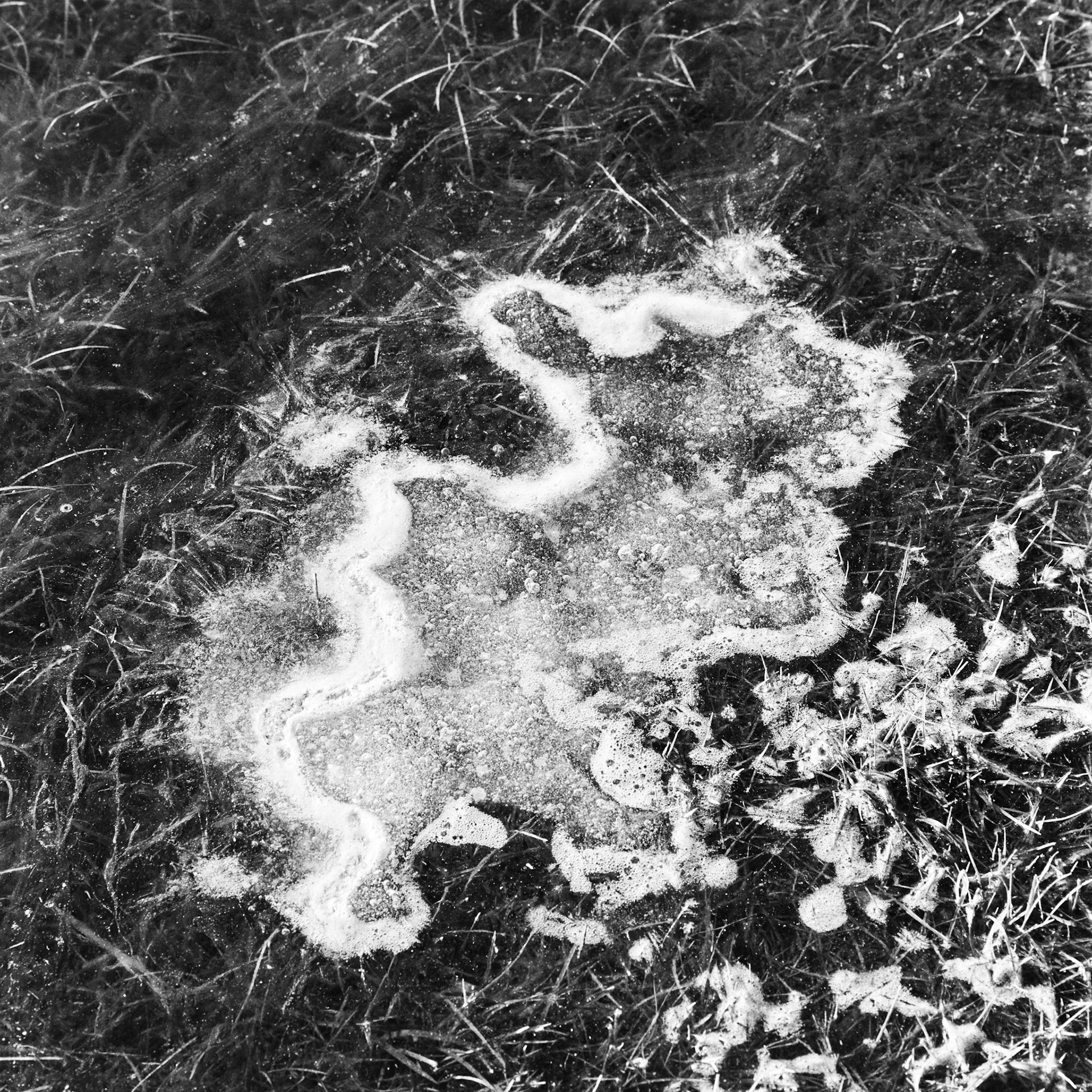 Kråketorp