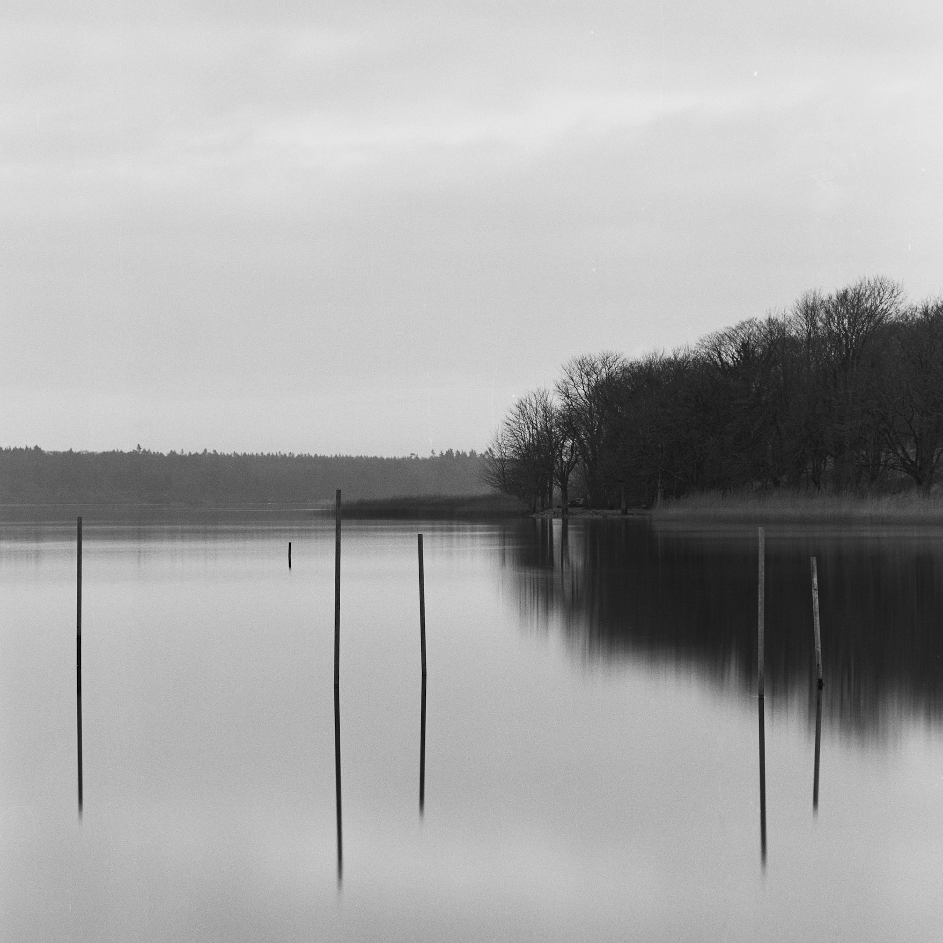 Kattinge vig