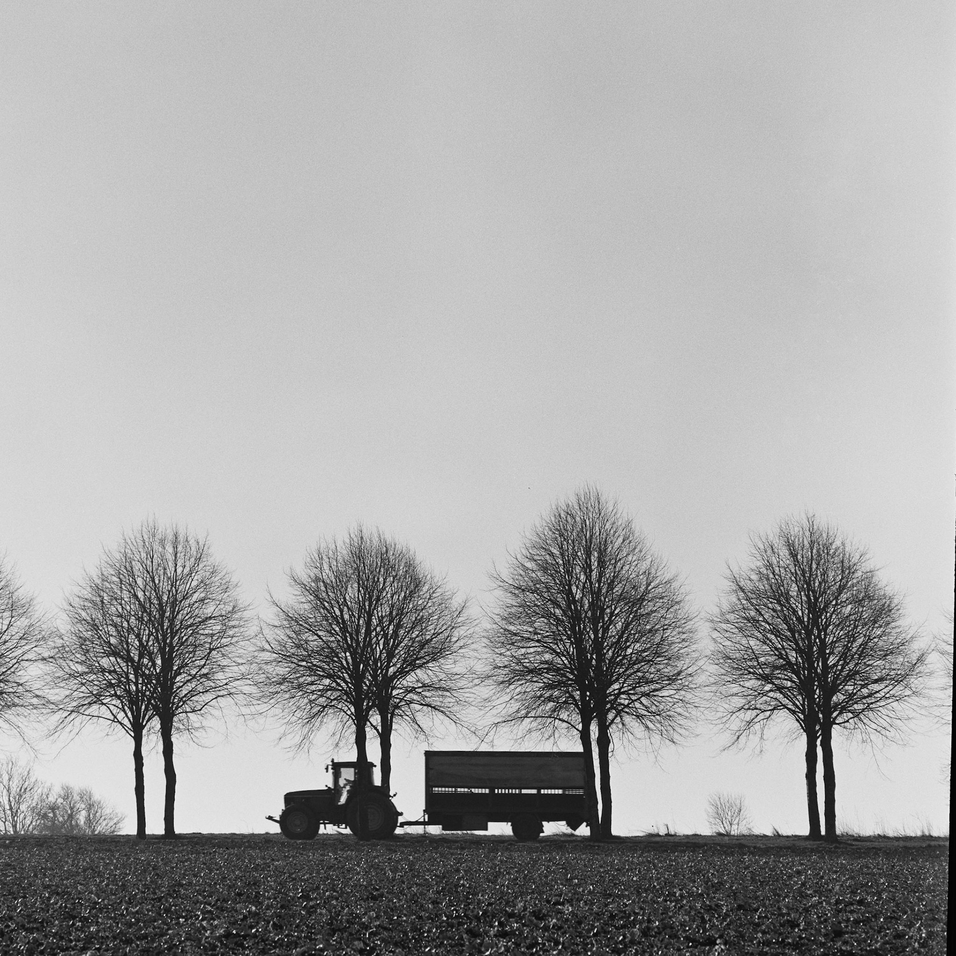Ledreborg allé