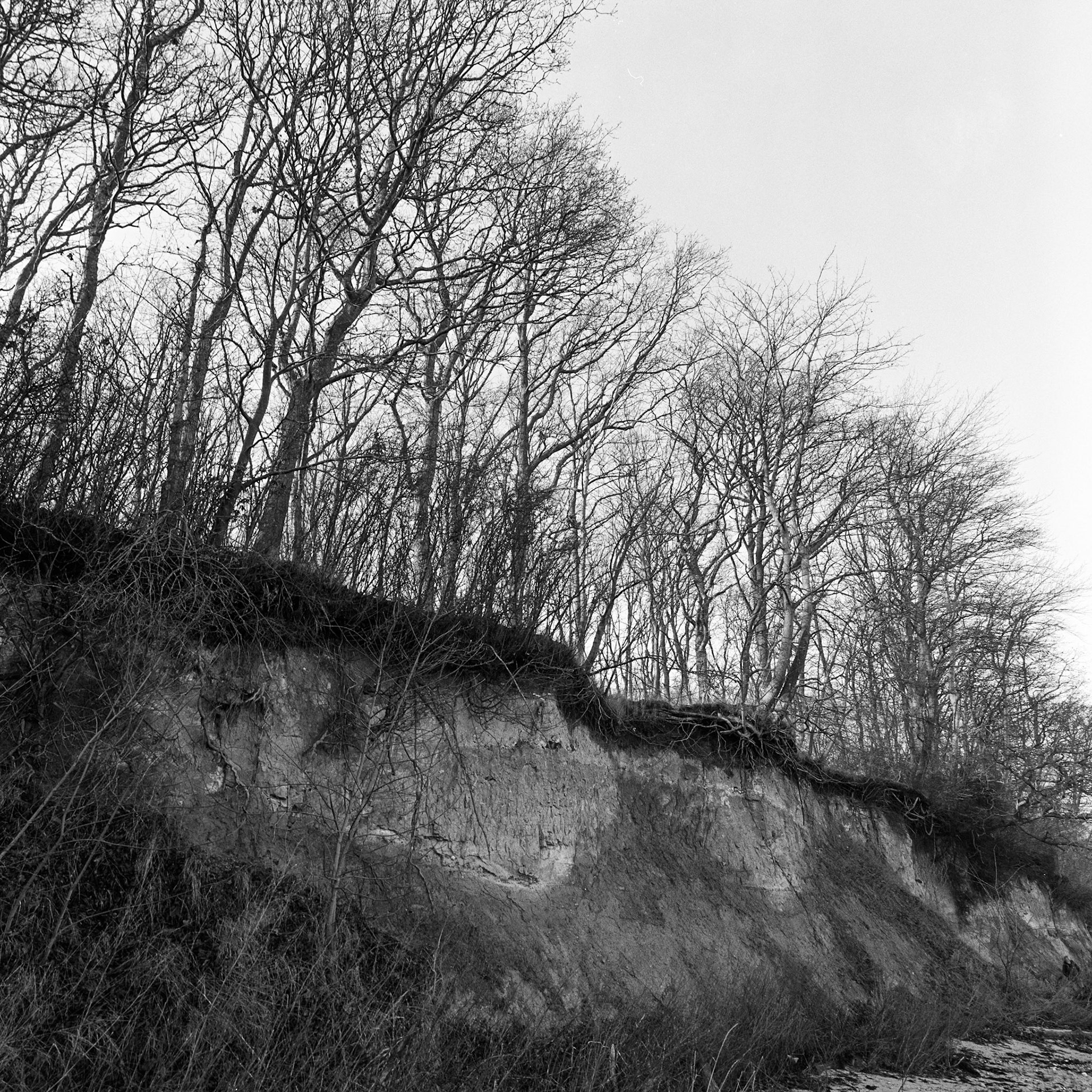 Bøgeskov havn strand