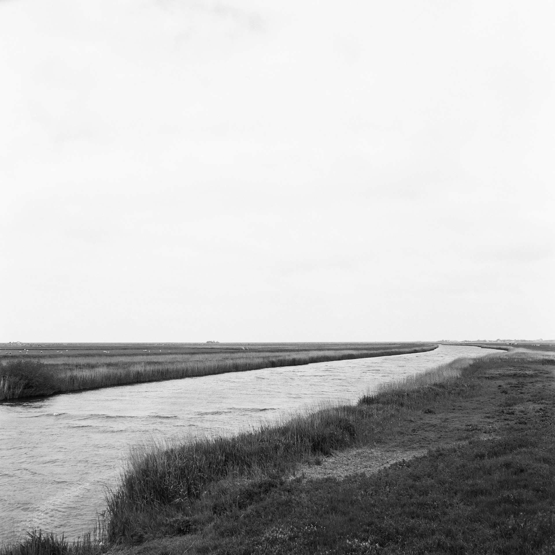 Vidå