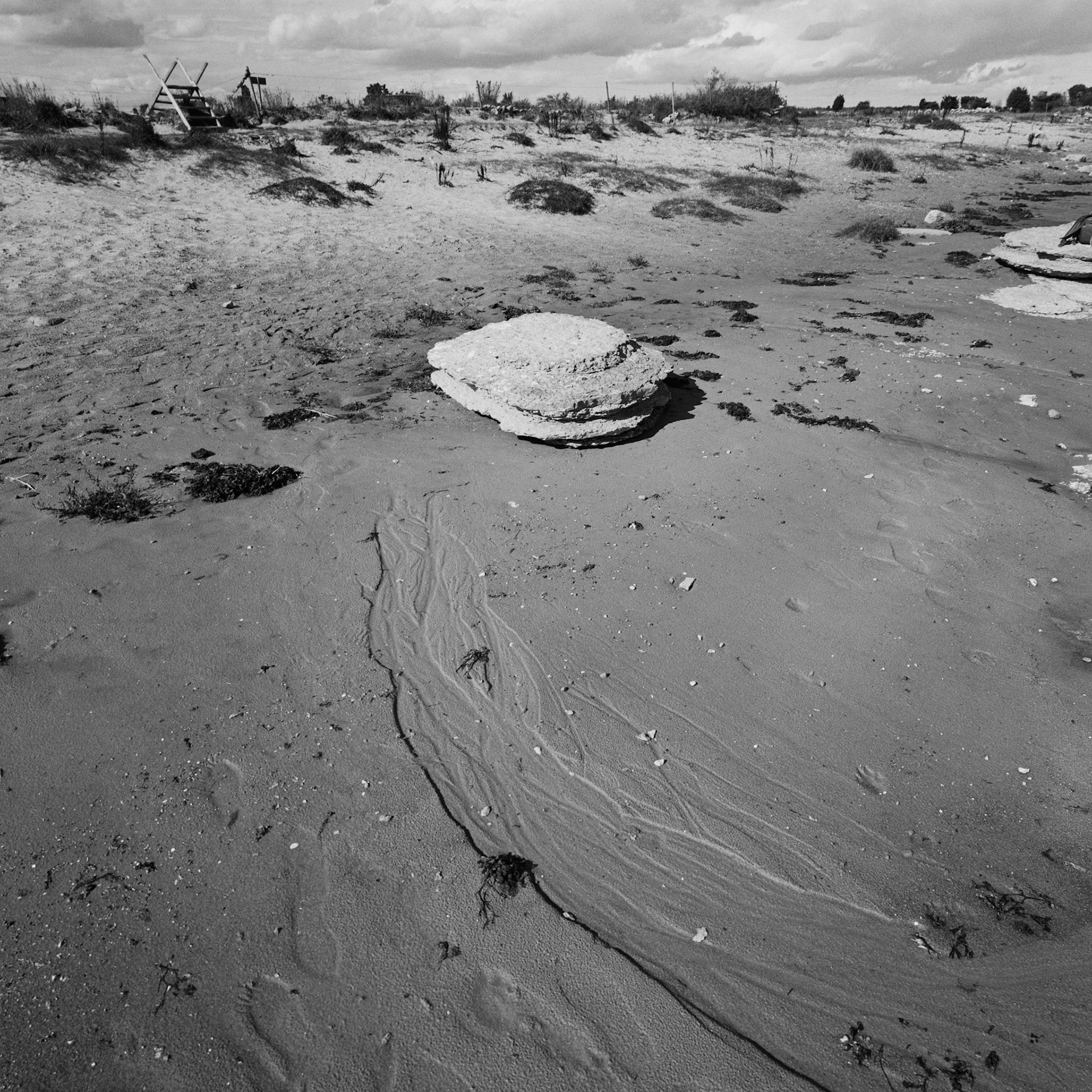Sandby borg strand