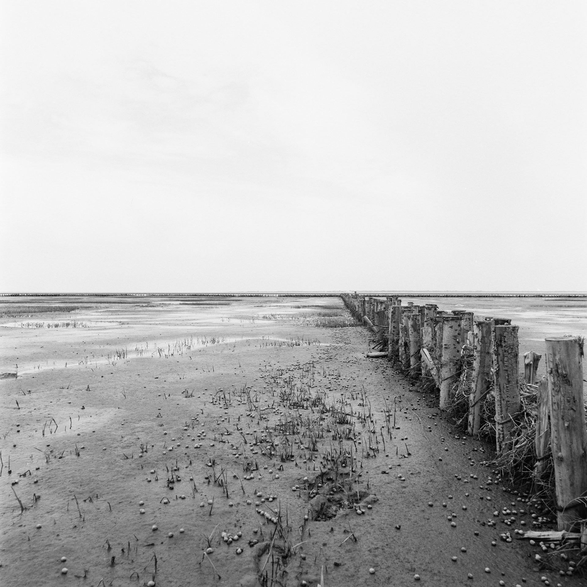 Bådsbøl-Ballum