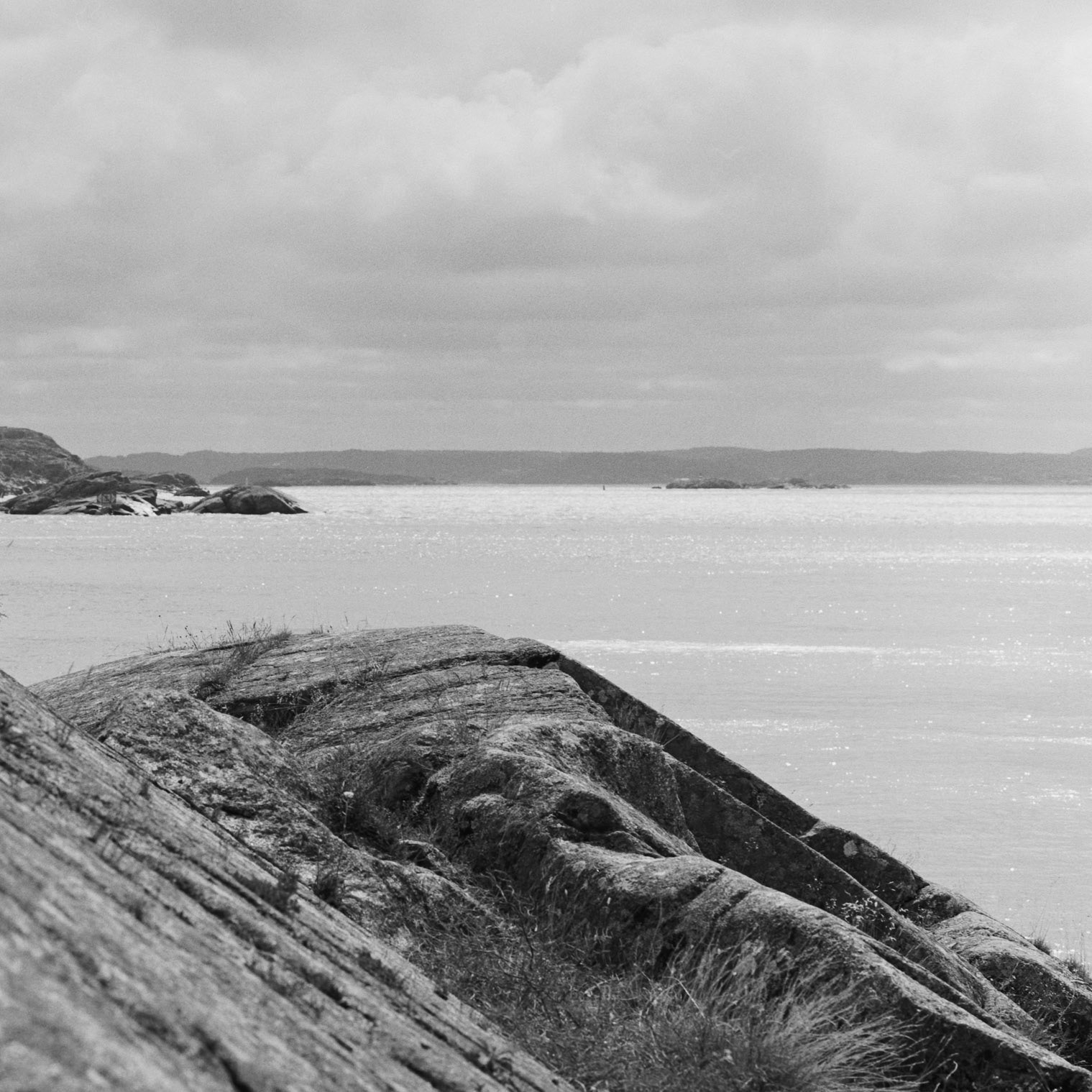 Dyrön