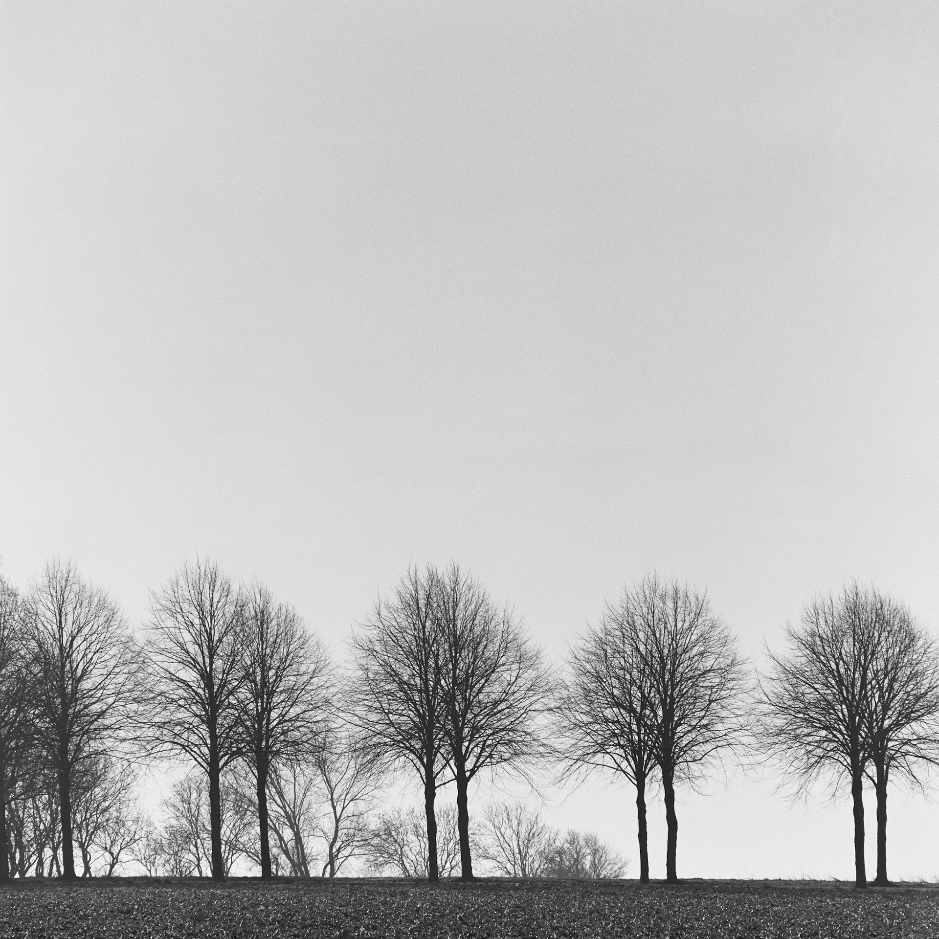 Ledreborg allé